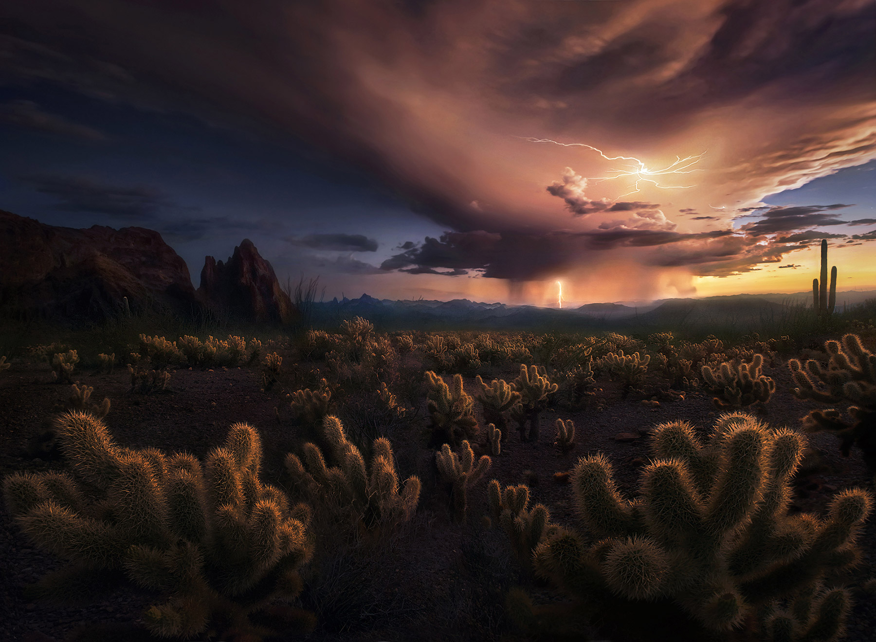 An amazing monsoonal storm cell I was lucky to catch at twilight over these glowing Cholla cactus.