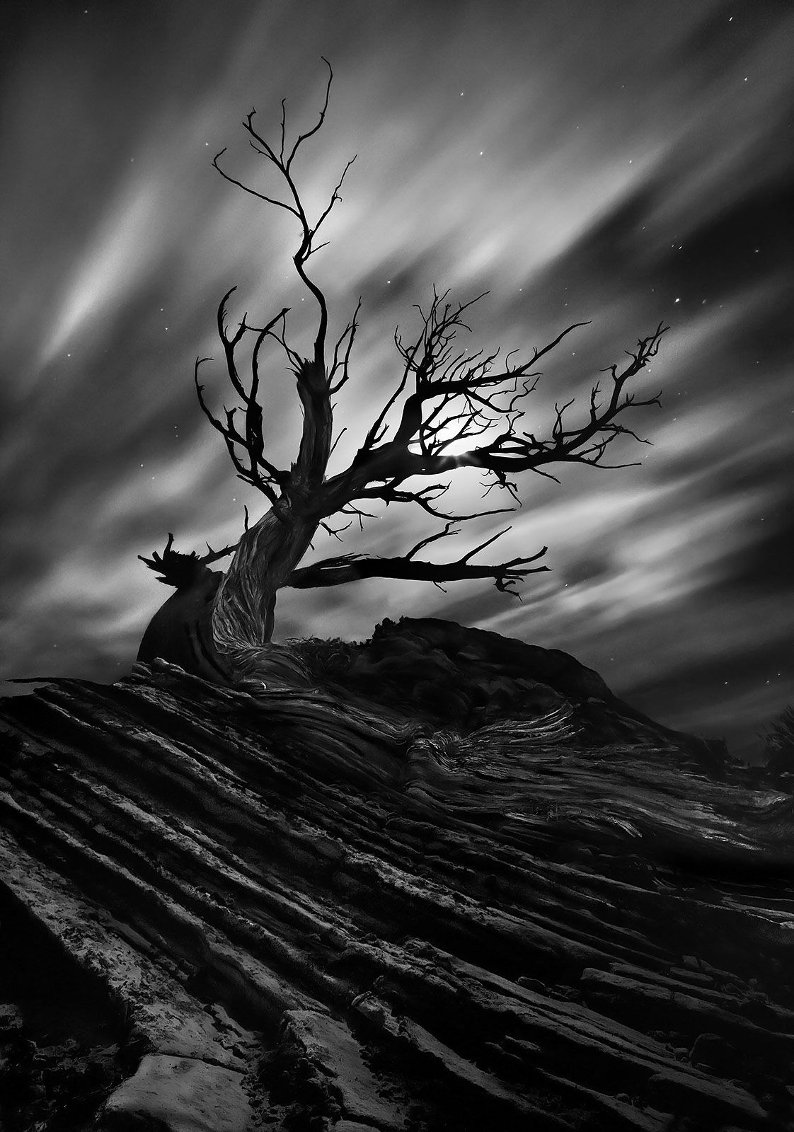 A long exposure steaks the cloud movement in moonlight over this gnarled Juniper tree, dead atop a hillside of striated sandstone...