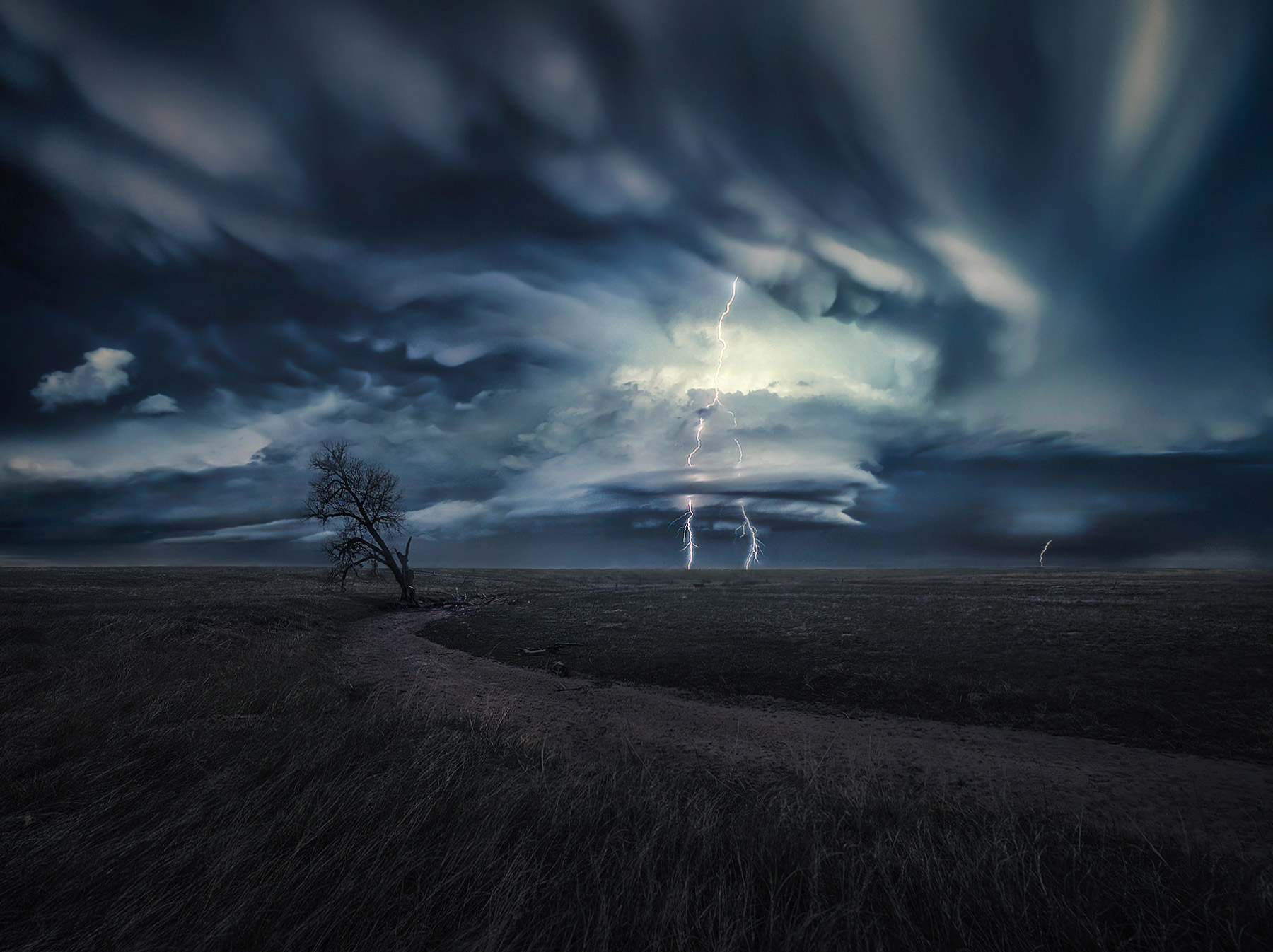 A supercell thunderstorm illuminates the twilight horizon above a lone tree and dry wash on the plains of Eastern Colorado