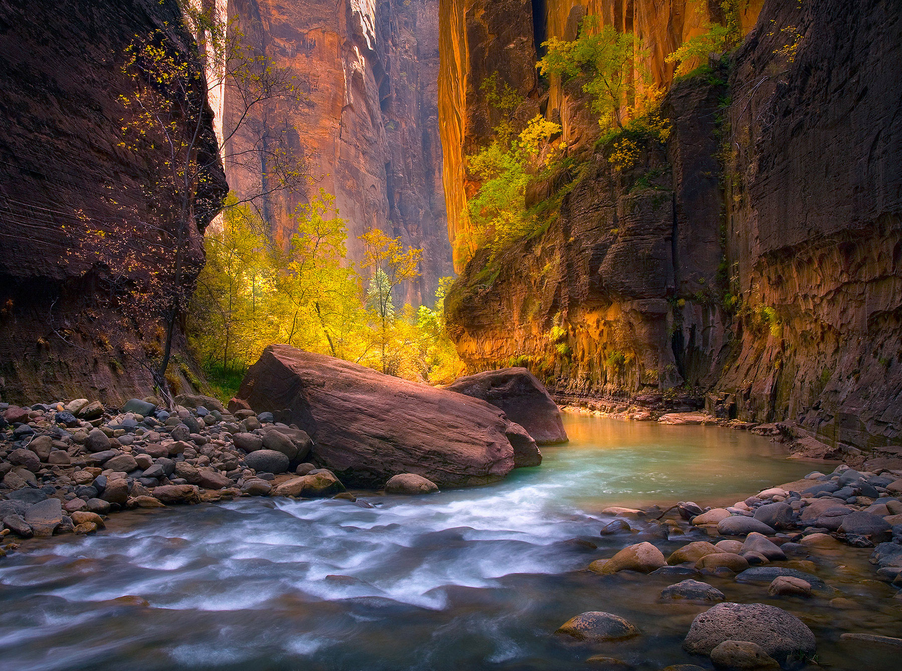Amazing Paradise (2006) In 2006 I backpacked through the uppermost reaches of Utah's Virgin River canyon and Deep Creek with my wife. We both believe...