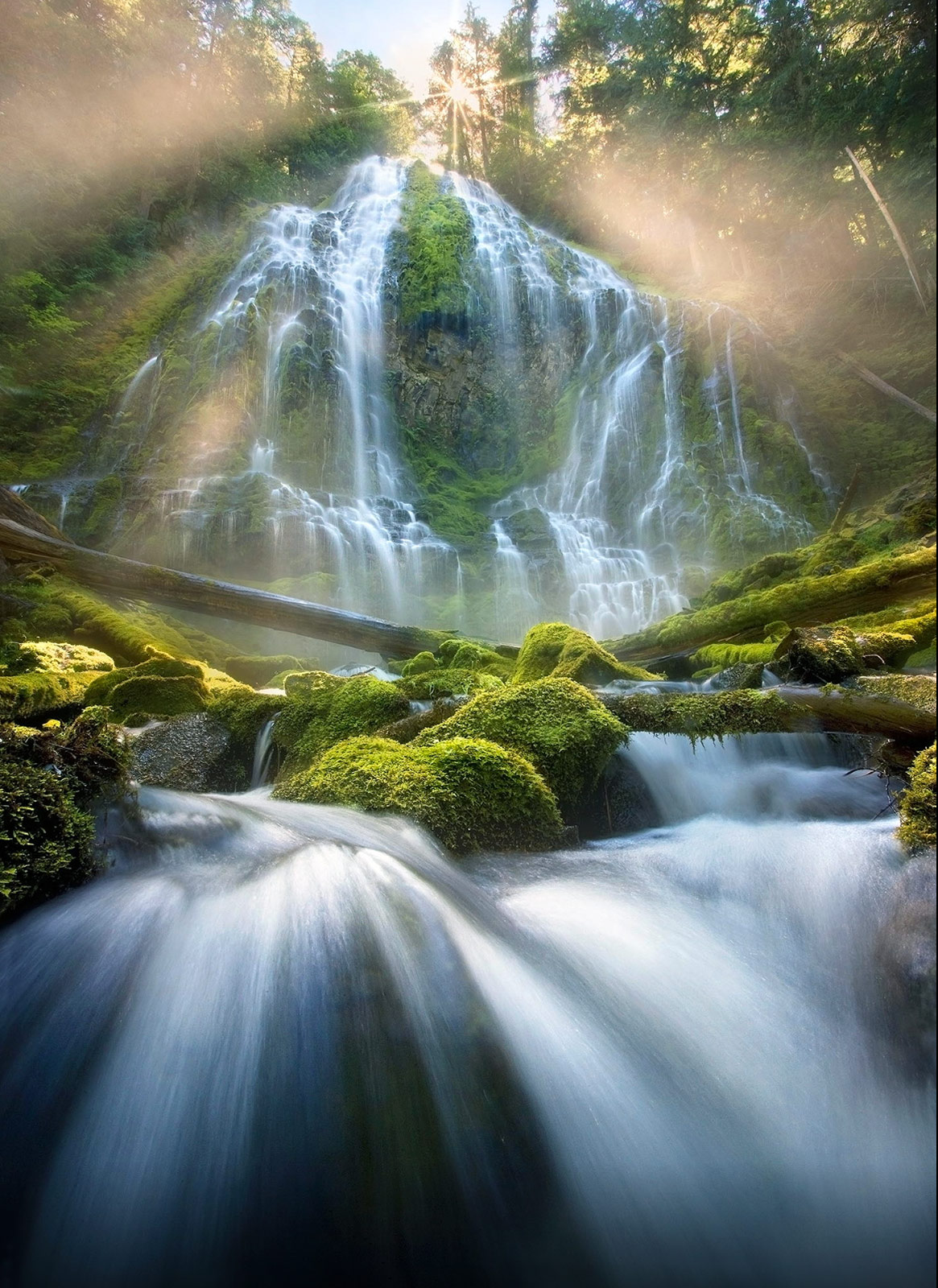 Mist beams down through the forest surrounding Oregon's magnificent Proxy Falls, in the Cascade Range.
