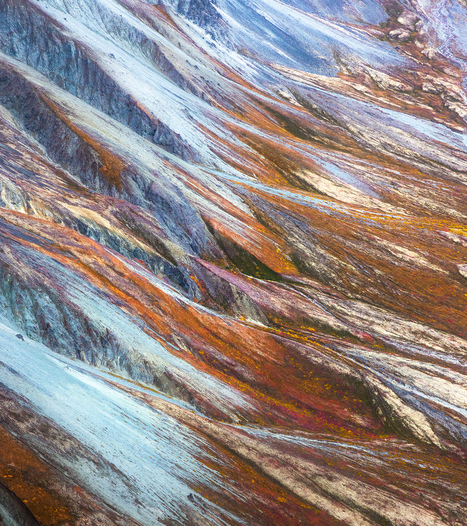 Abstract impressionism found in the natural world, Alaska.