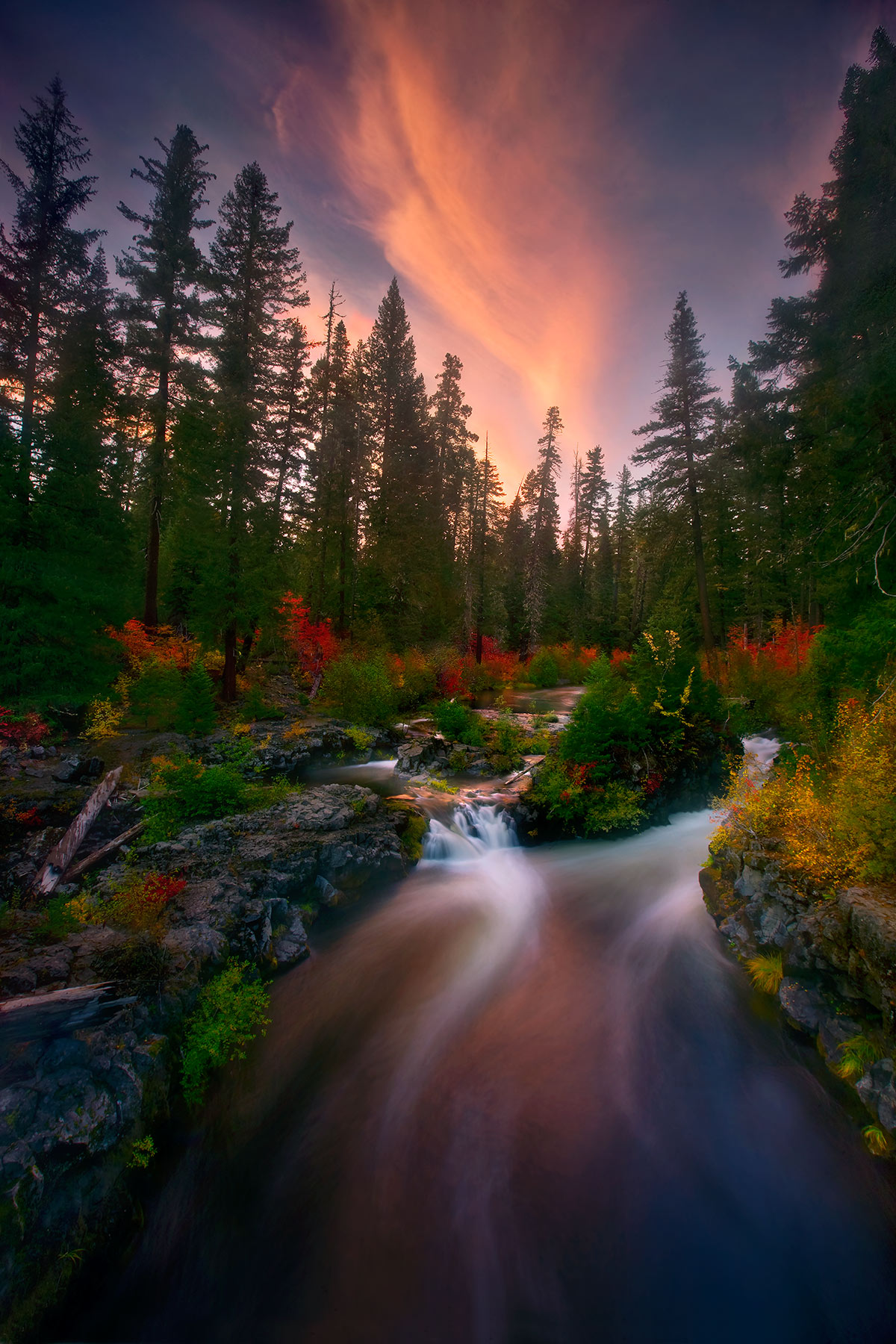 Autumn Show, Rogue River, Oregon