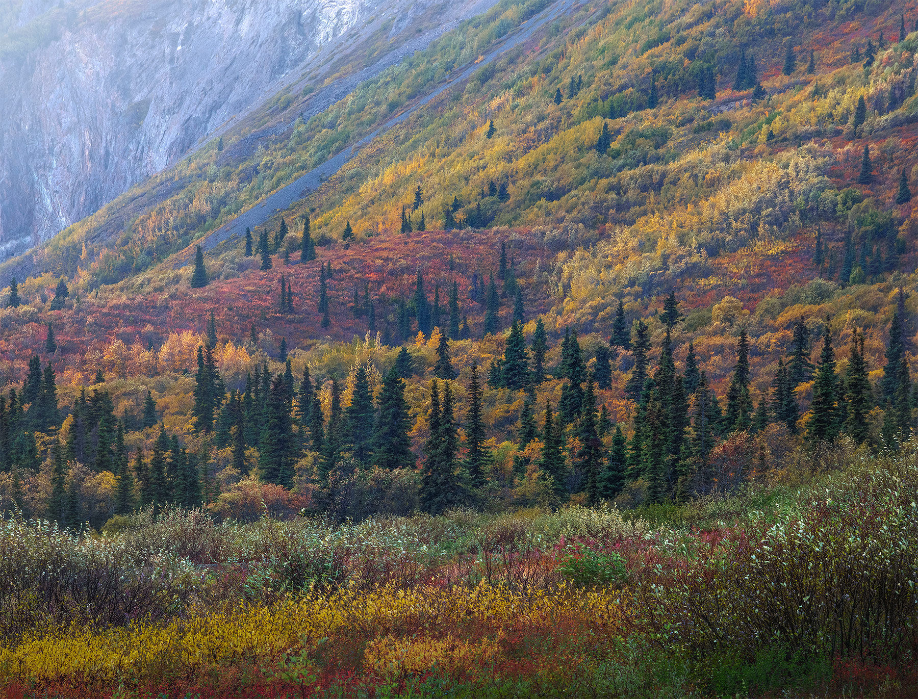 Alaska, fall, autumn, colors, tundra, aspen, red, mountains, peaks, chugach, Alaska range, 