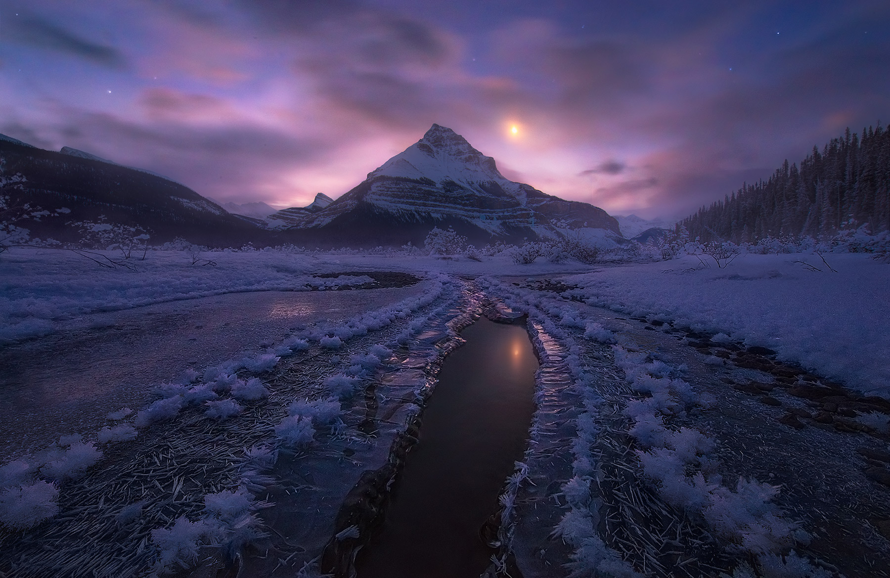 My favorite image ever depicting hoar frost crystals under the soft light of the moon before sunrise, this rare scene came together...