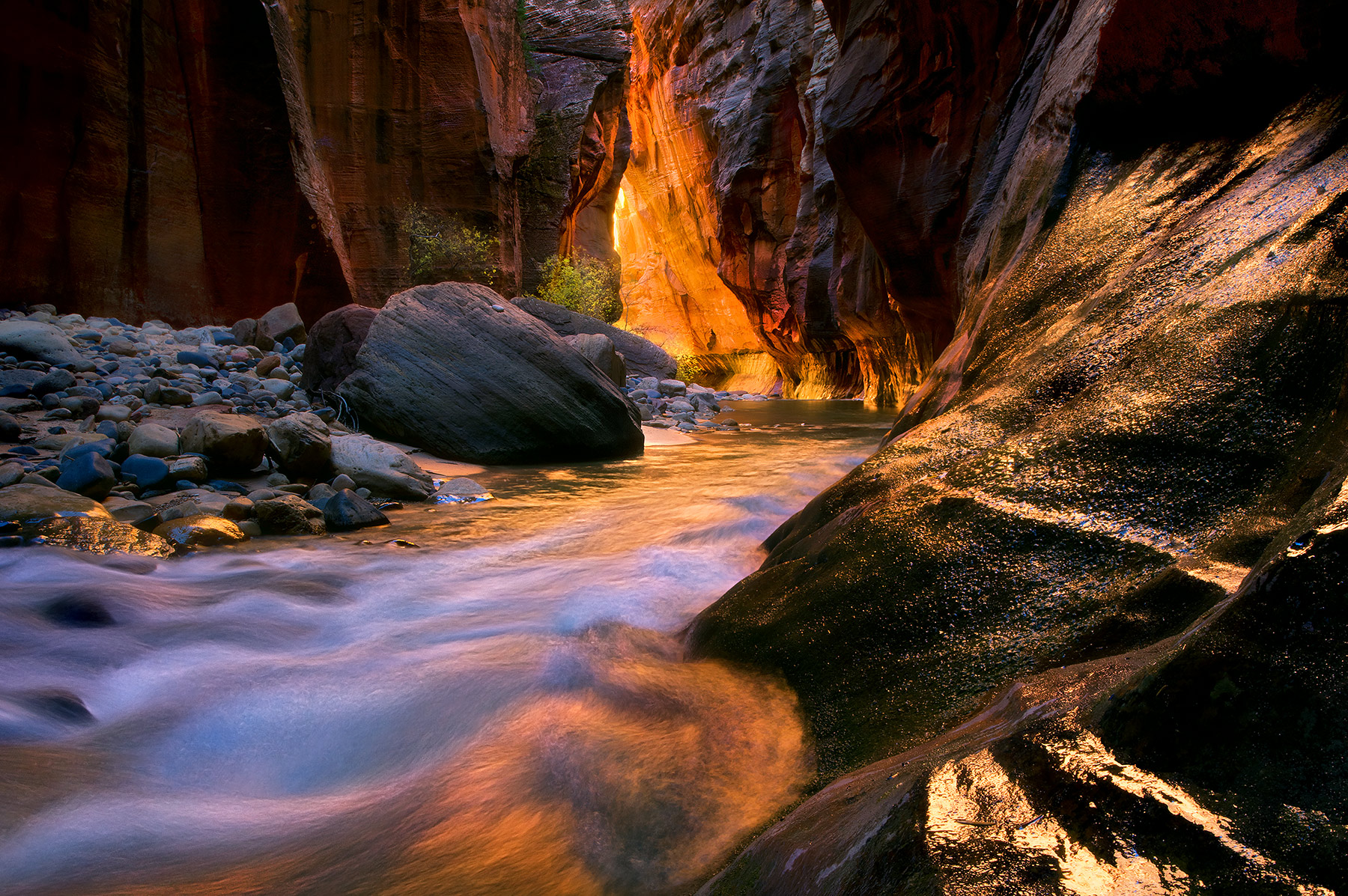 Rich, spectacular reflected light off the warm walls deep within the Narrows, in Zion. A much-photographed place, but one that...