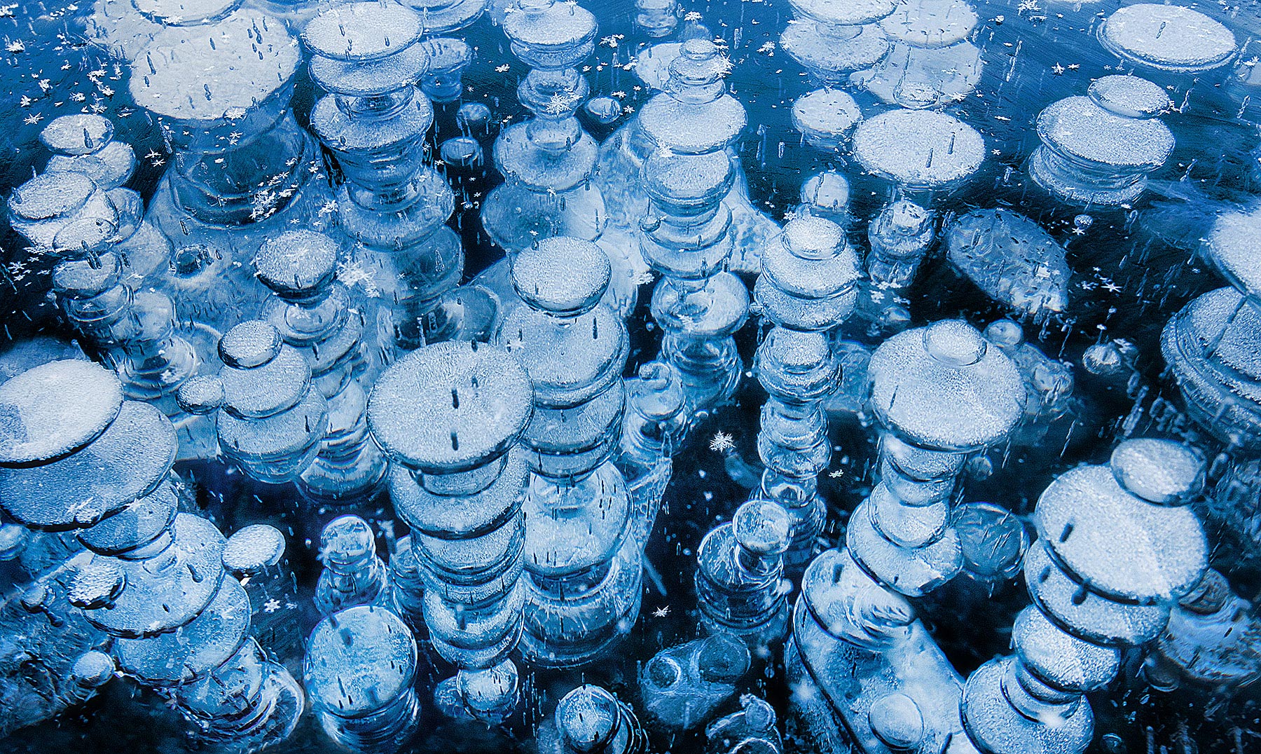 Methane bubbles up and freezes beneath the glassy ice and a few fresh snowflakes adorn the surface. &nbsp;