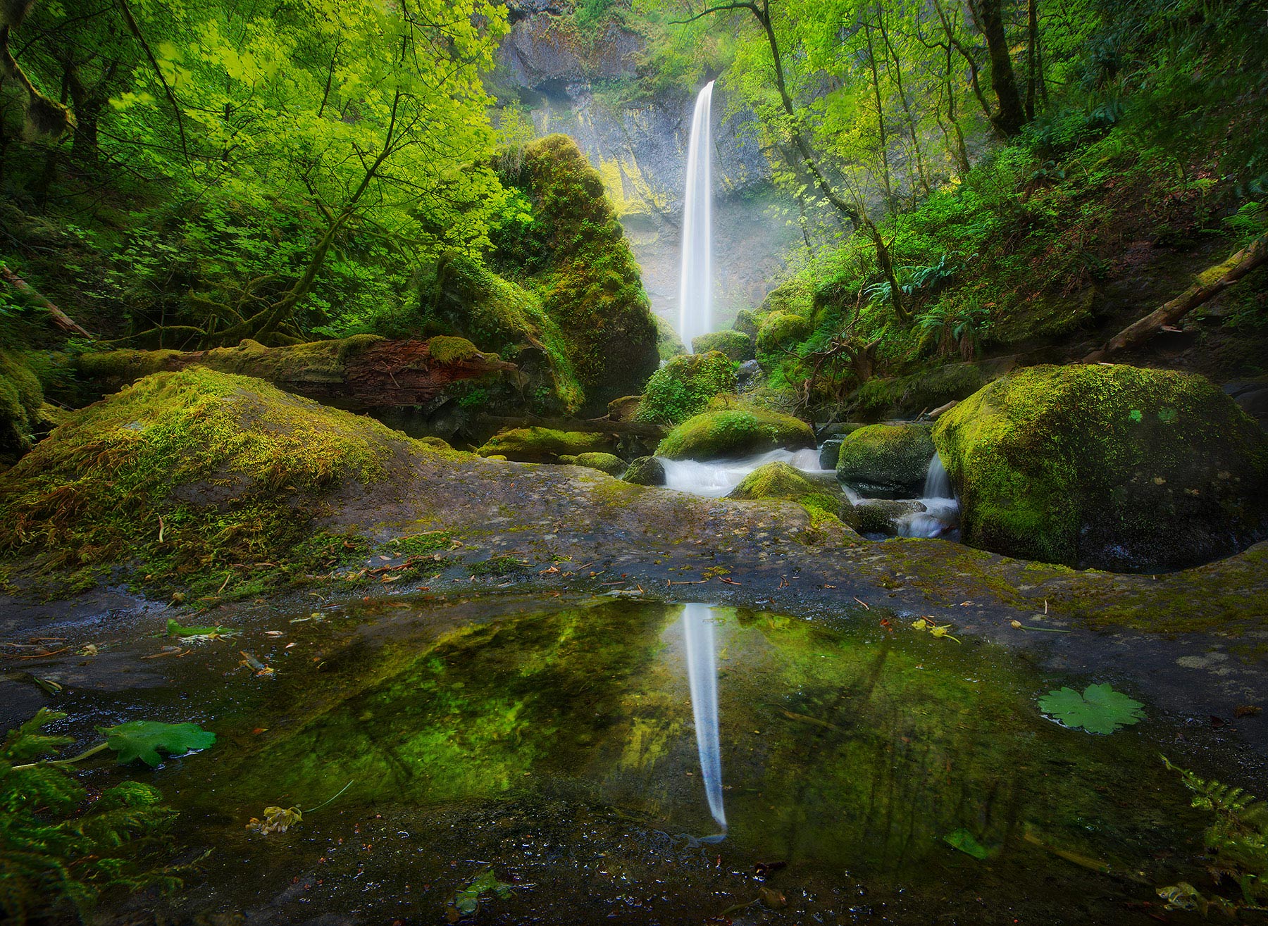 A spring reflection of Elowah Falls in Oregon's Columbia River Gorge. This unique (and then subsequently much-copied) perspective...