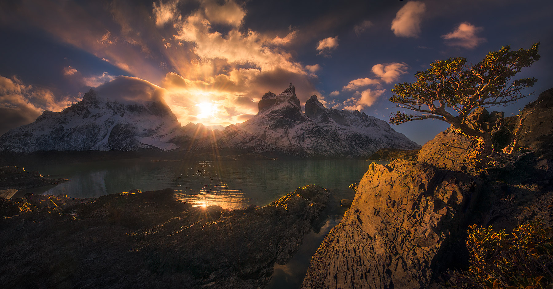 A lone wind-shaped tree stands in front of Torres Del Paine peaks, in Chile. &nbsp;