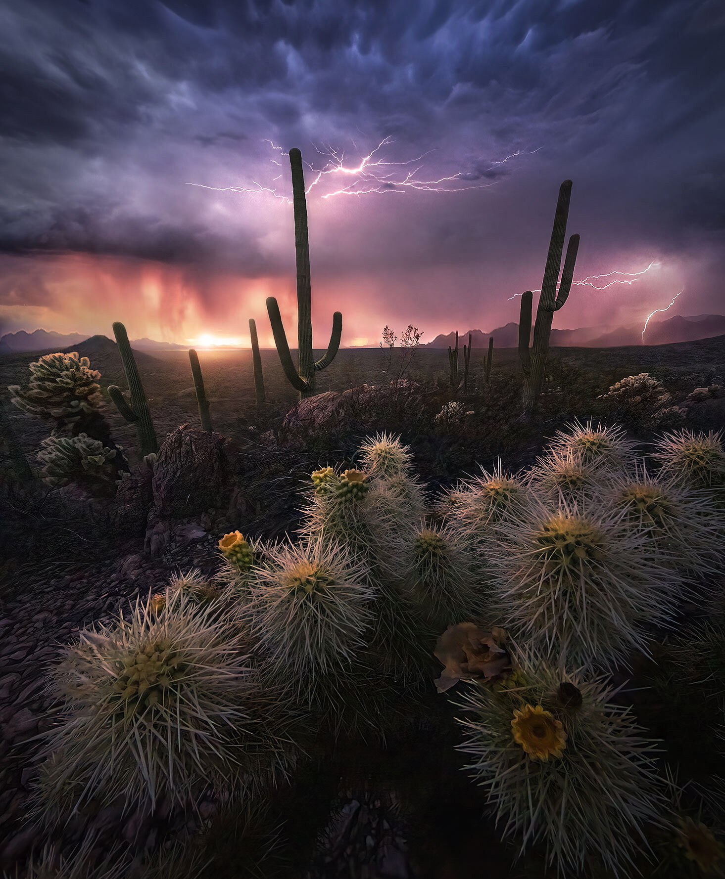 Chasing the Light storm, chase, Arizona, Southwest, saguaro, cholla, cactus, sunset, lightning
