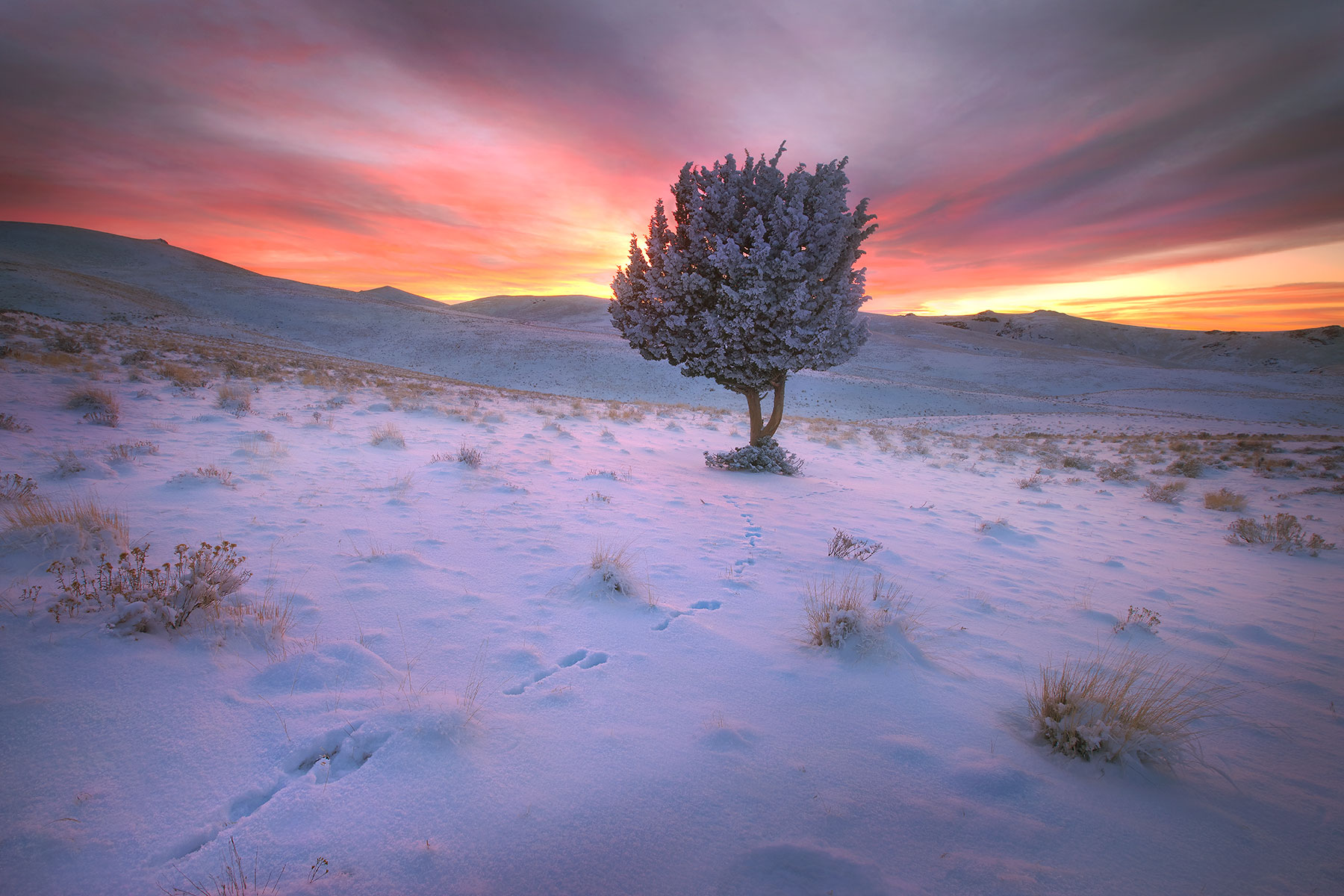 Chosen One, Owyhee, Oregon