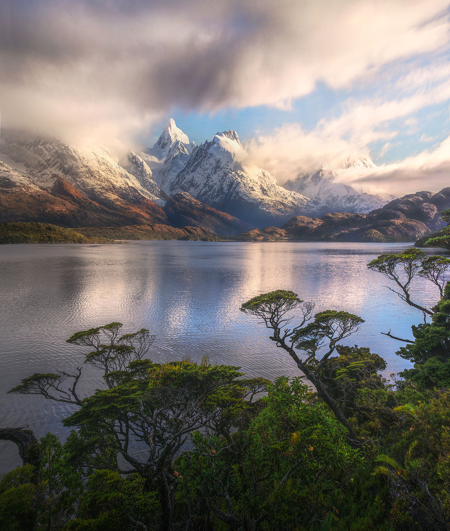 Coigue trees and the amazing foliage of the fiords, South Chile.&nbsp;