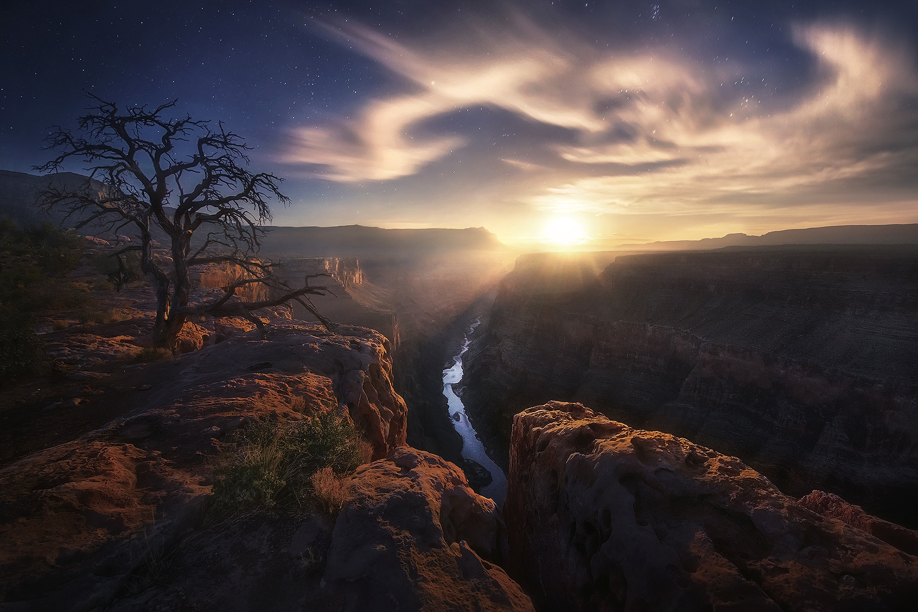 An image comprised entirely of moonlight, you can see stars through the clouds, an ancient tree and beams through Arizon's Grand...