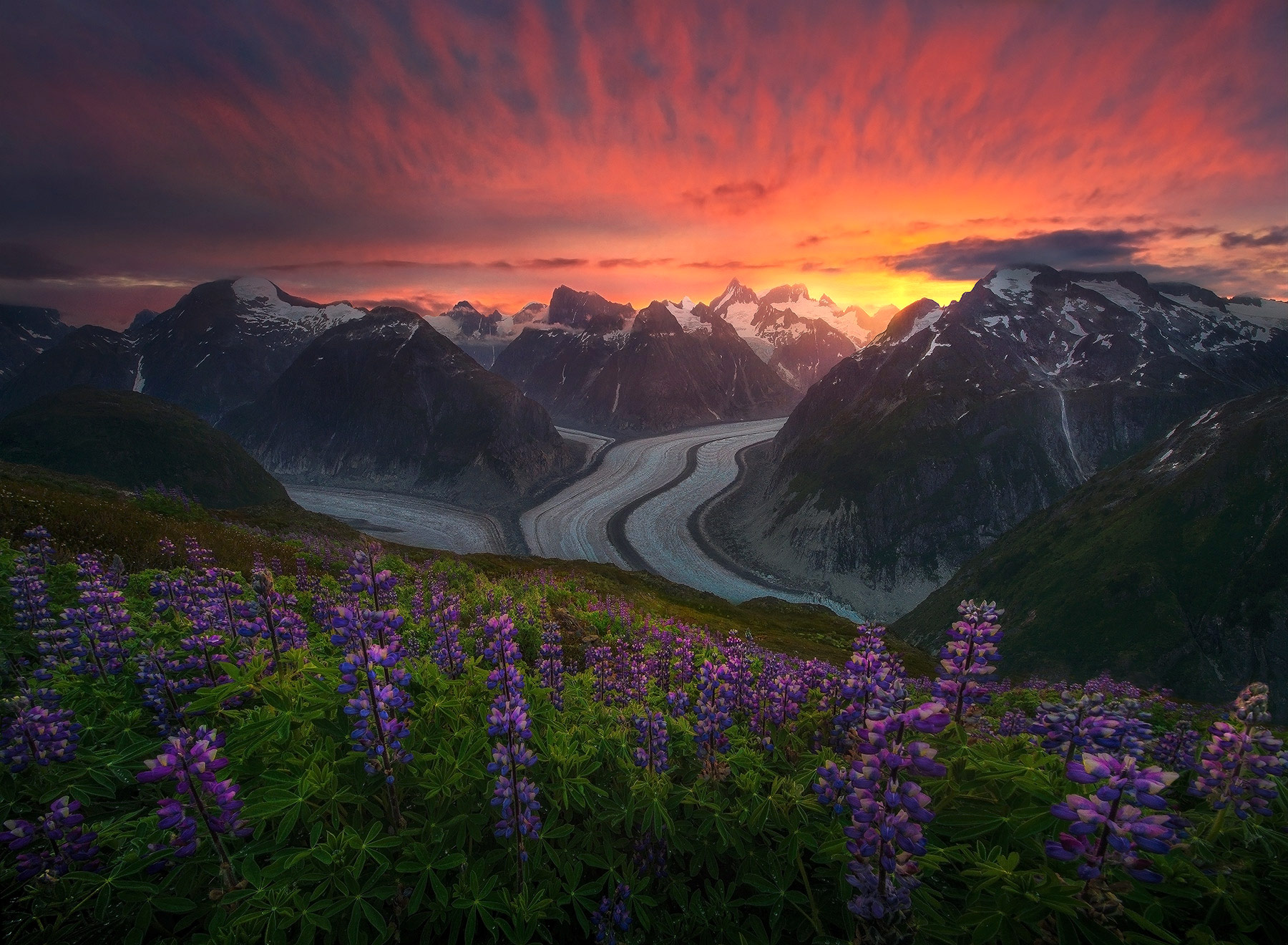 A landscape version of these lush gardens springing forth from a hillside far above the glaciated Alaskan landscape.&nbsp;