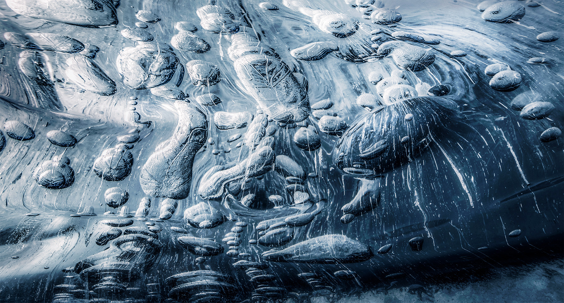 Bubbles trapped in the ice, photographed from under the ice. &nbsp;