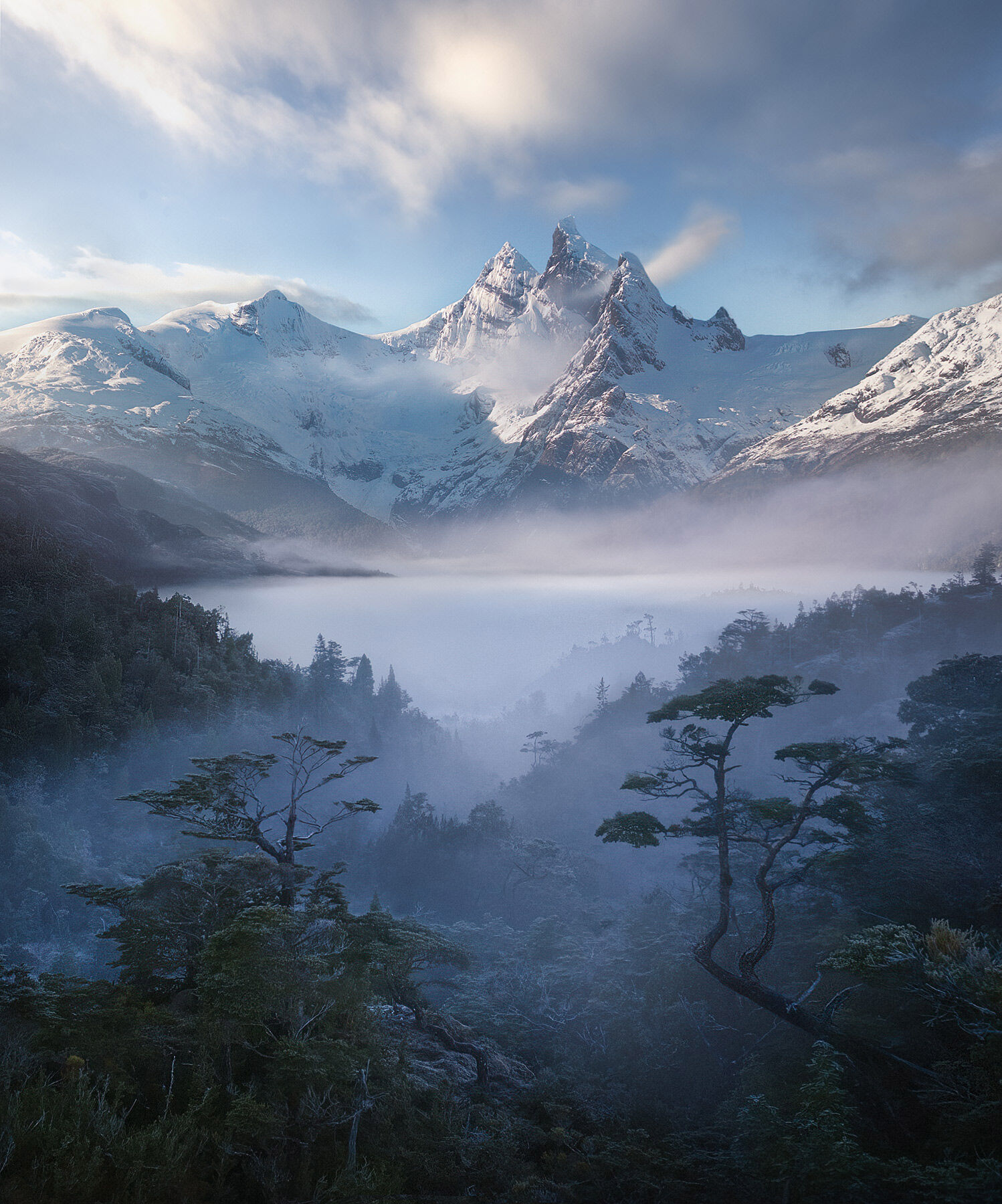 The most amazing trees and forest lands give way to Patagonian peaks through the mist.  That's the fjords.  There's nothing like...