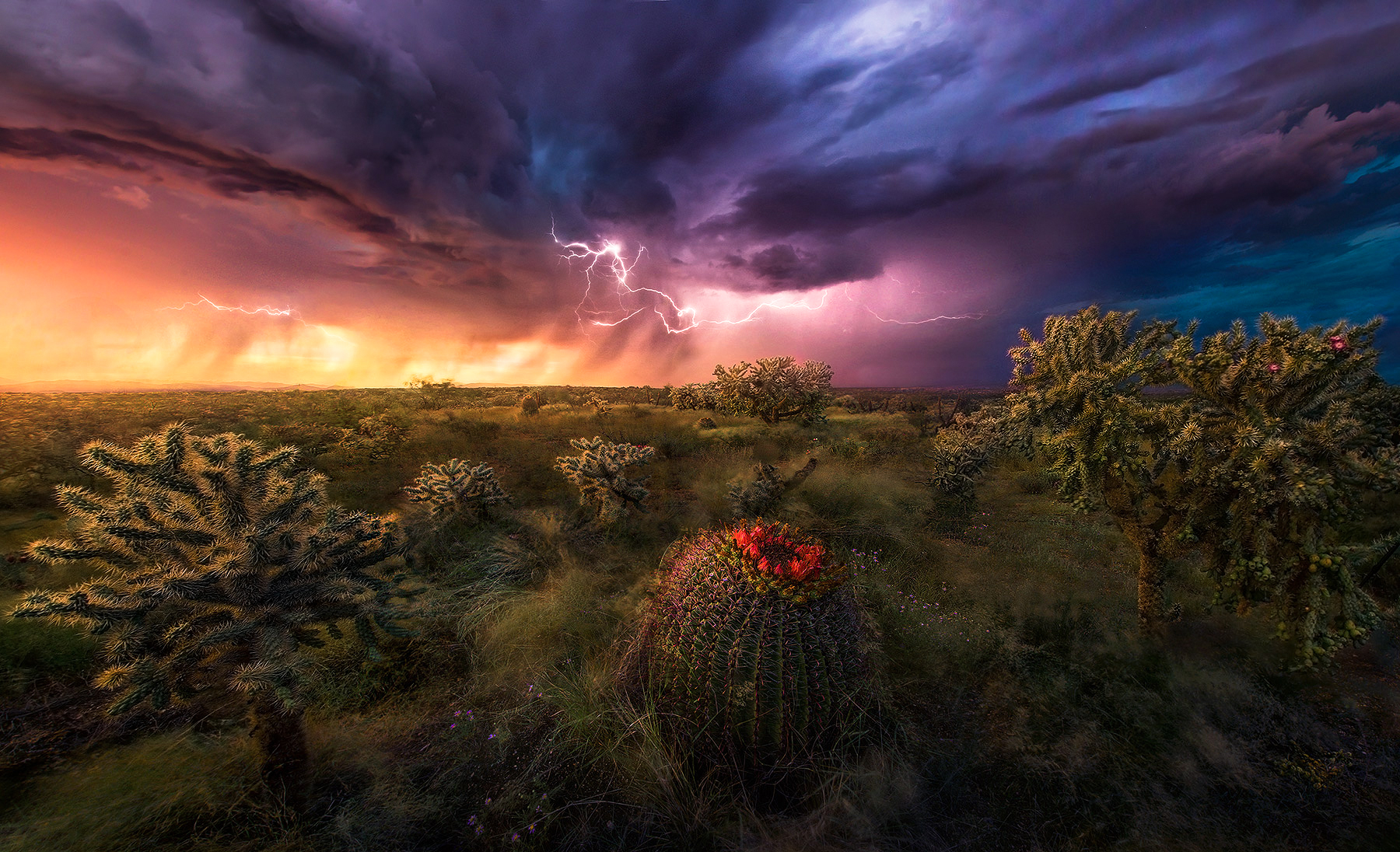 A spectacular show of color and light right after sunset in Arizona taken while I was leading a storm chase! &nbsp;I had to react...