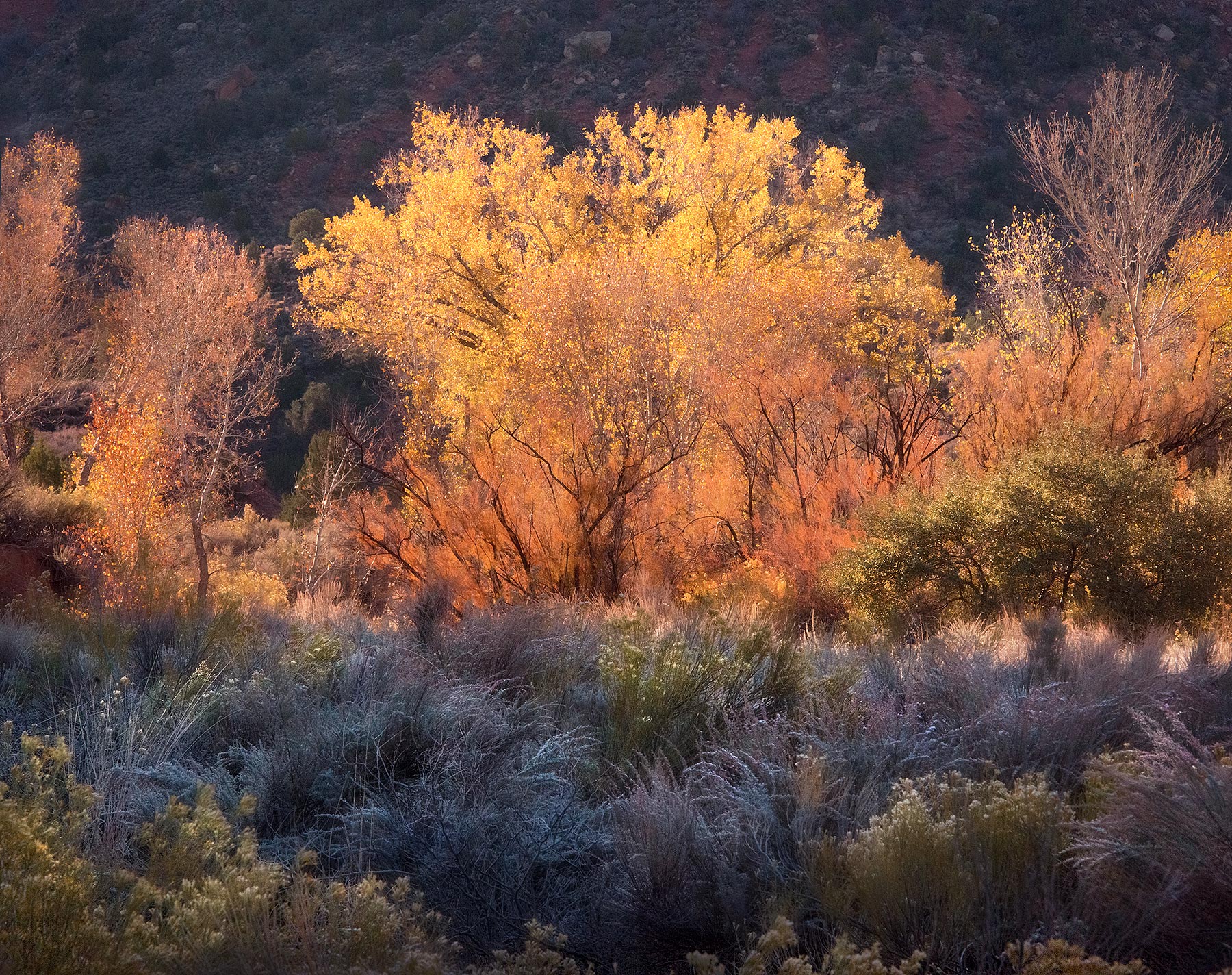 A rainbow of colors scattered across this high-desert landscape in southern Utah emphasized by some beautiful morning light.