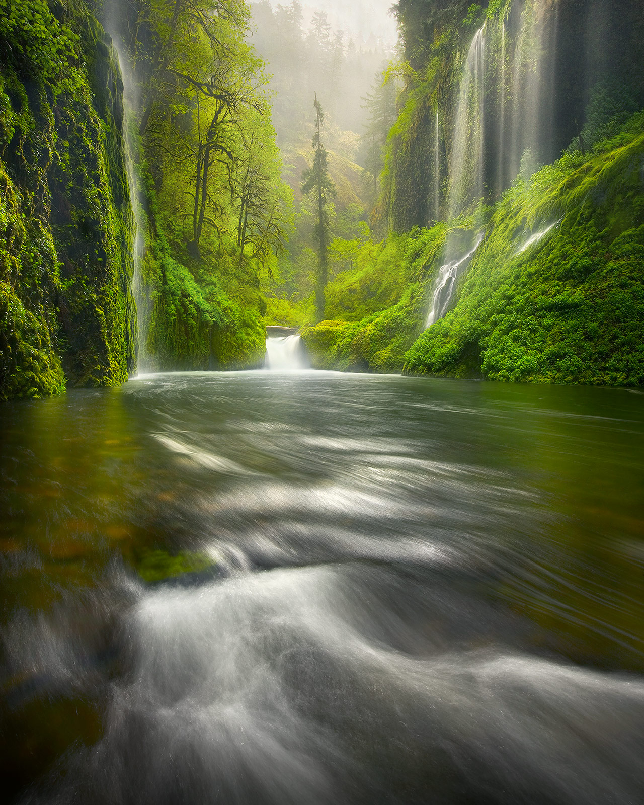 An amazing display of waterfalls and lush rainforest environment deep in Oregon's Columbia River Gorge, photographed in a heavy...