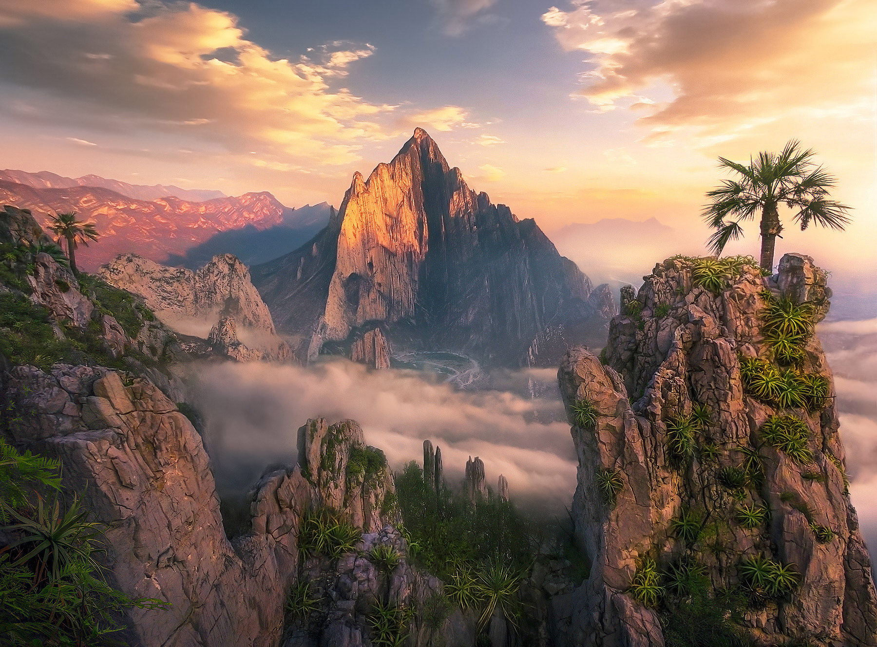 palm trees, Monterrey, peaks, jagged, cliffs, mountains, Mexico, sunrise