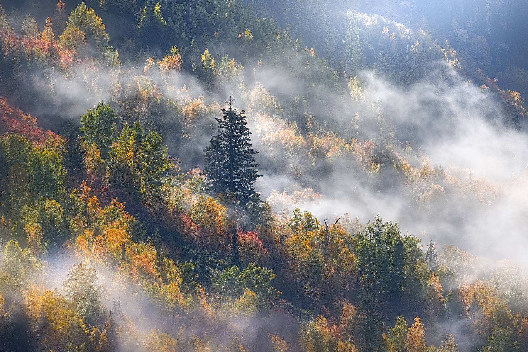 Drifting through the Seasons Some rare conditions photographed with my tour group at 1000mm in Glacier Park, Montana. Anyone want a 100 inch print? I bet...
