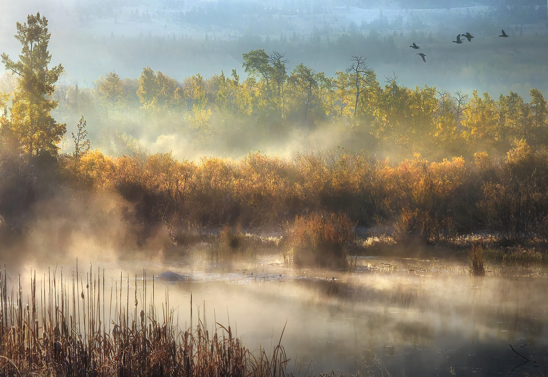 Like a scene out of a painting I always wanted to make.  But this is real light and it was an amazing morning to behold!