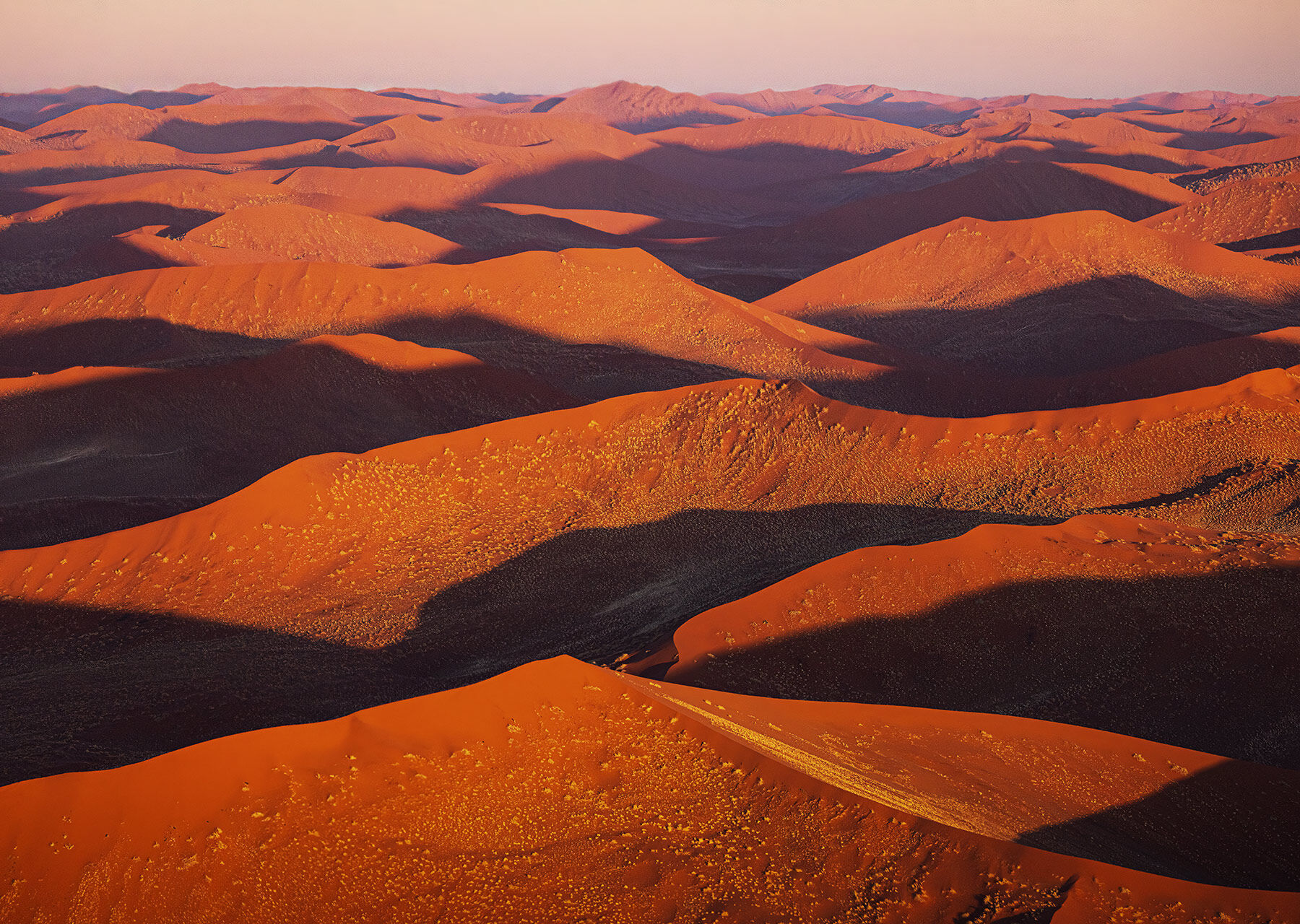 Sometimes it's just all about the dunes