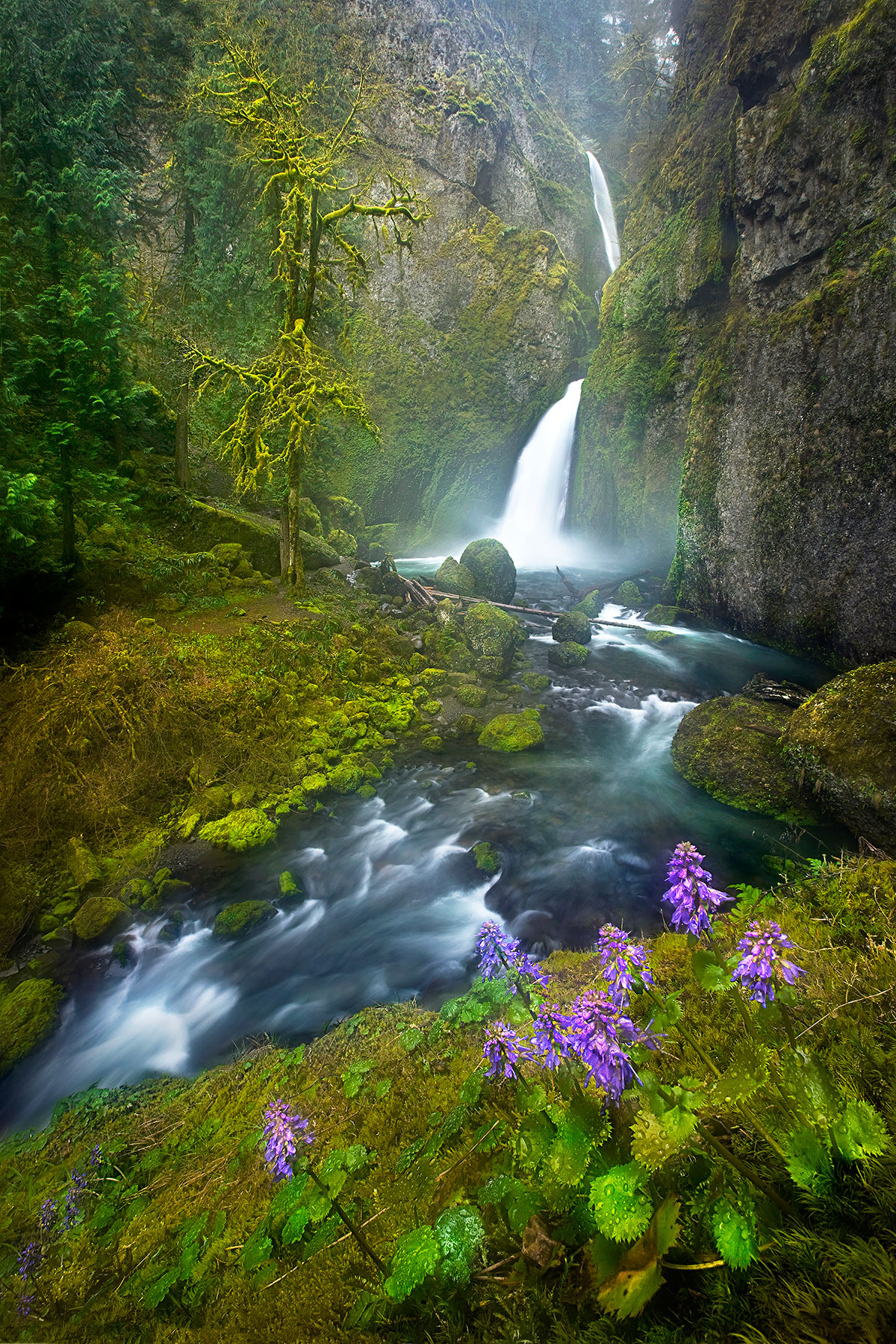 Early Spring Falls, Wachella Creek, Oregon