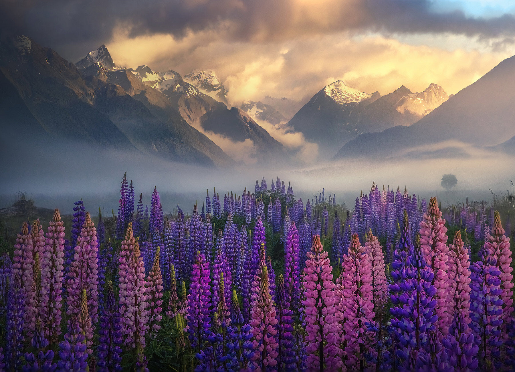 The end of the famous valley, gateway to Fiordlands, New Zealand.  Such an amazing sight to witness on this misty early summer...