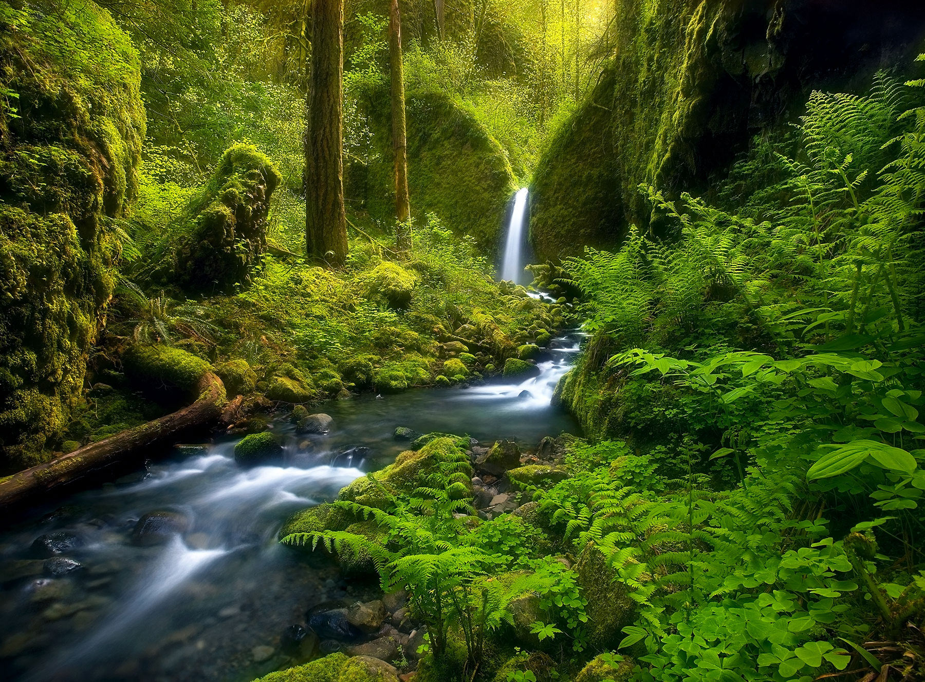 An enchanting waterfall and stream in a wild and remote region of Oregon's Columbia Gorge. &nbsp;Years after I made this image...