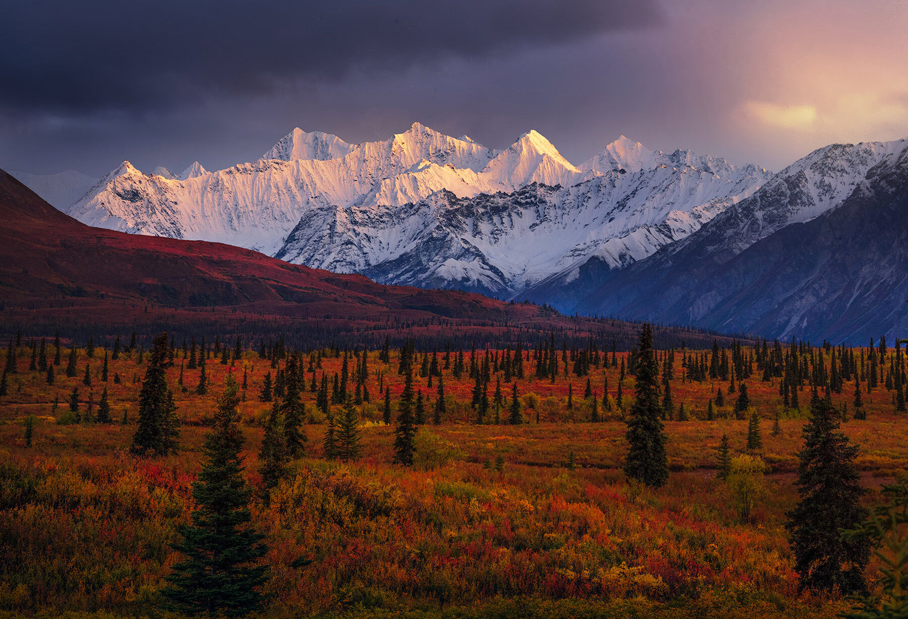 Alaska, fall, autumn, colors, tundra, aspen, red, mountains, peaks, chugach, Alaska range, 