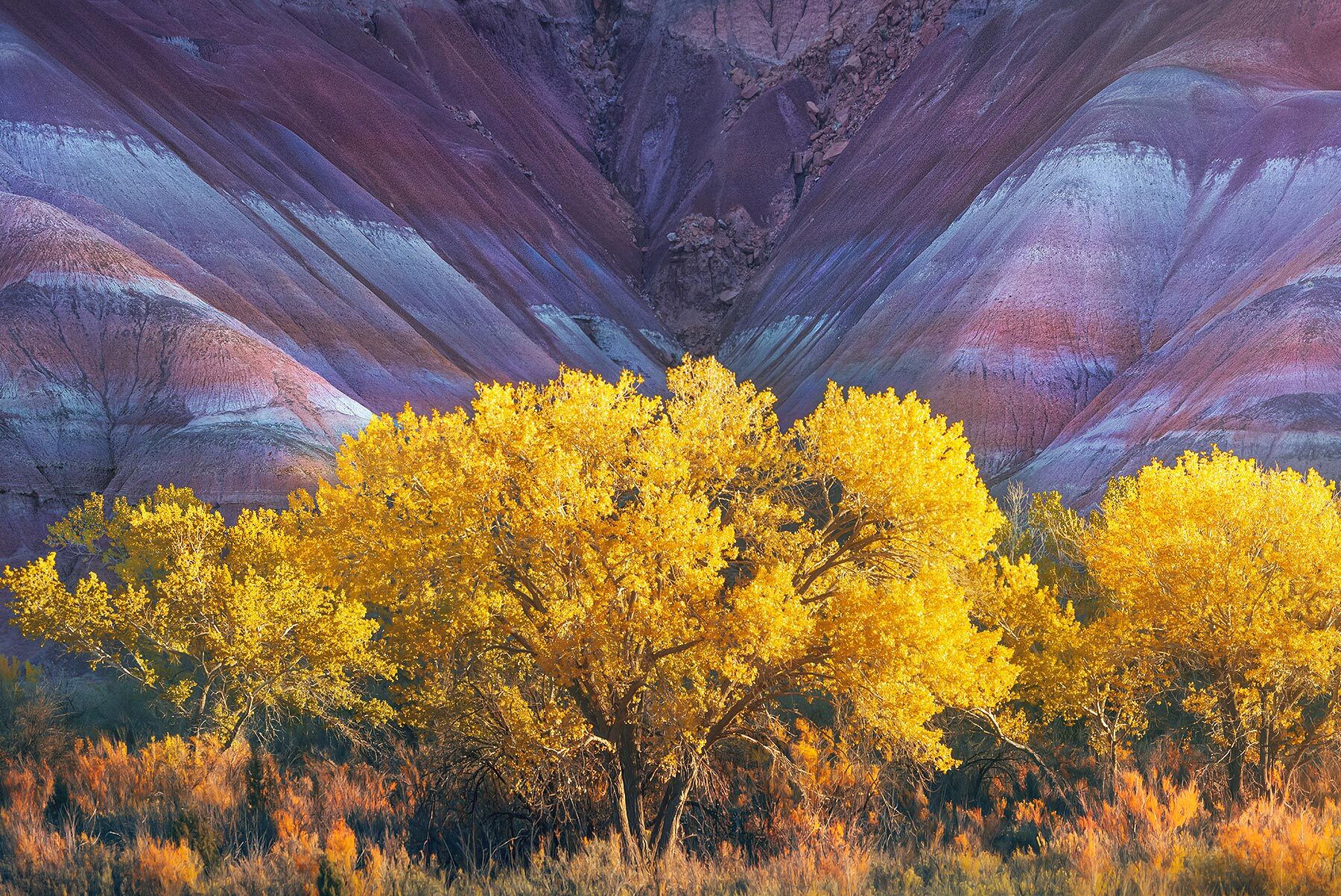 Utah, where else?