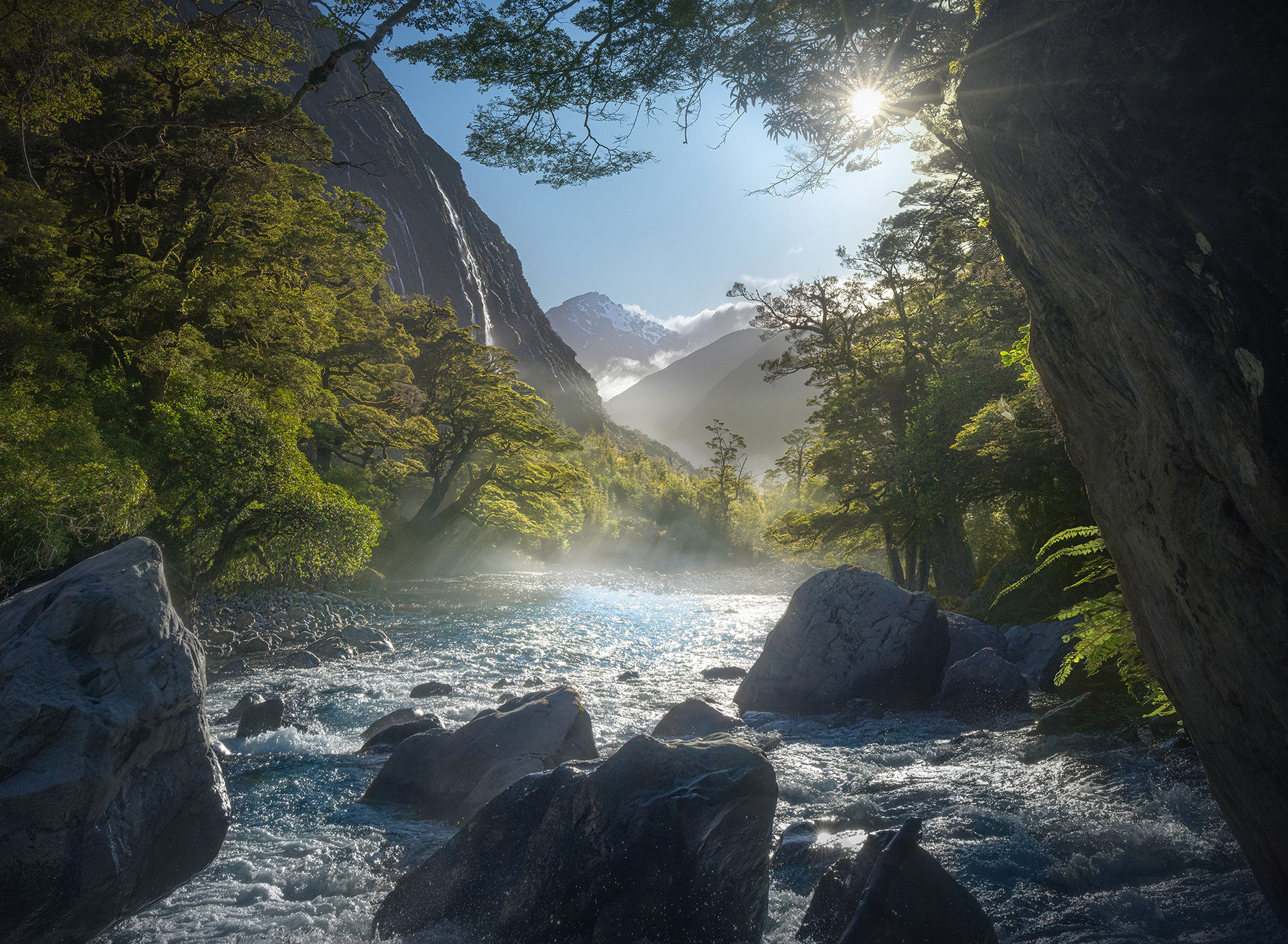 Sparkling blue waters, ferns and falls.  That's the Beech forest of New Zealand for you!  An amazing place.