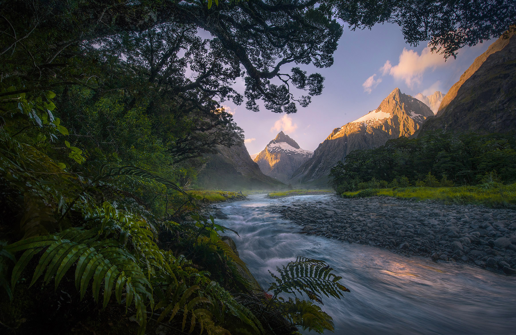 The circle of life here on display in the glorious Fiordlands of New Zealand