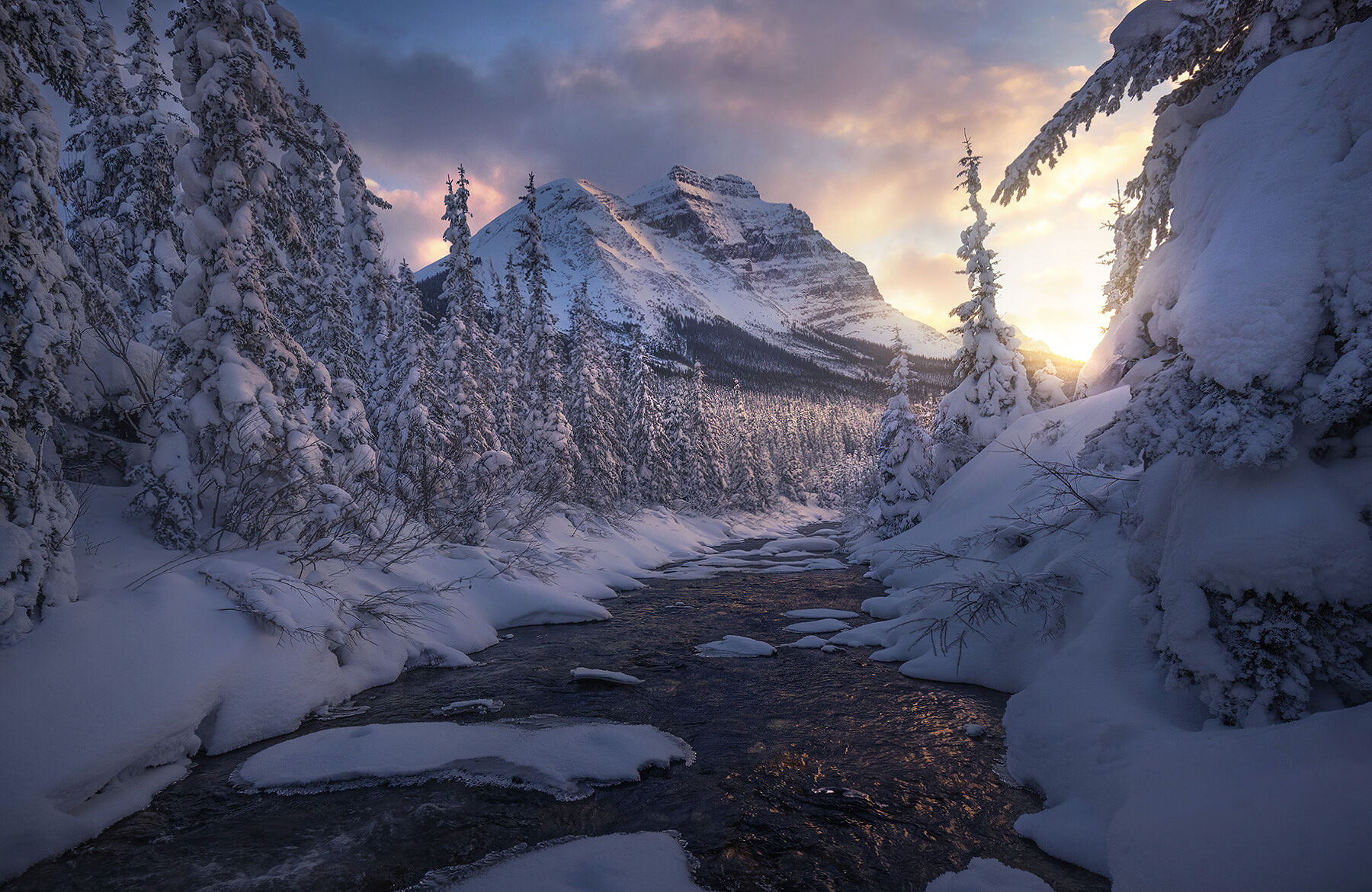 A small stream leads through snowy tree forests in Yoho park towards the sunset