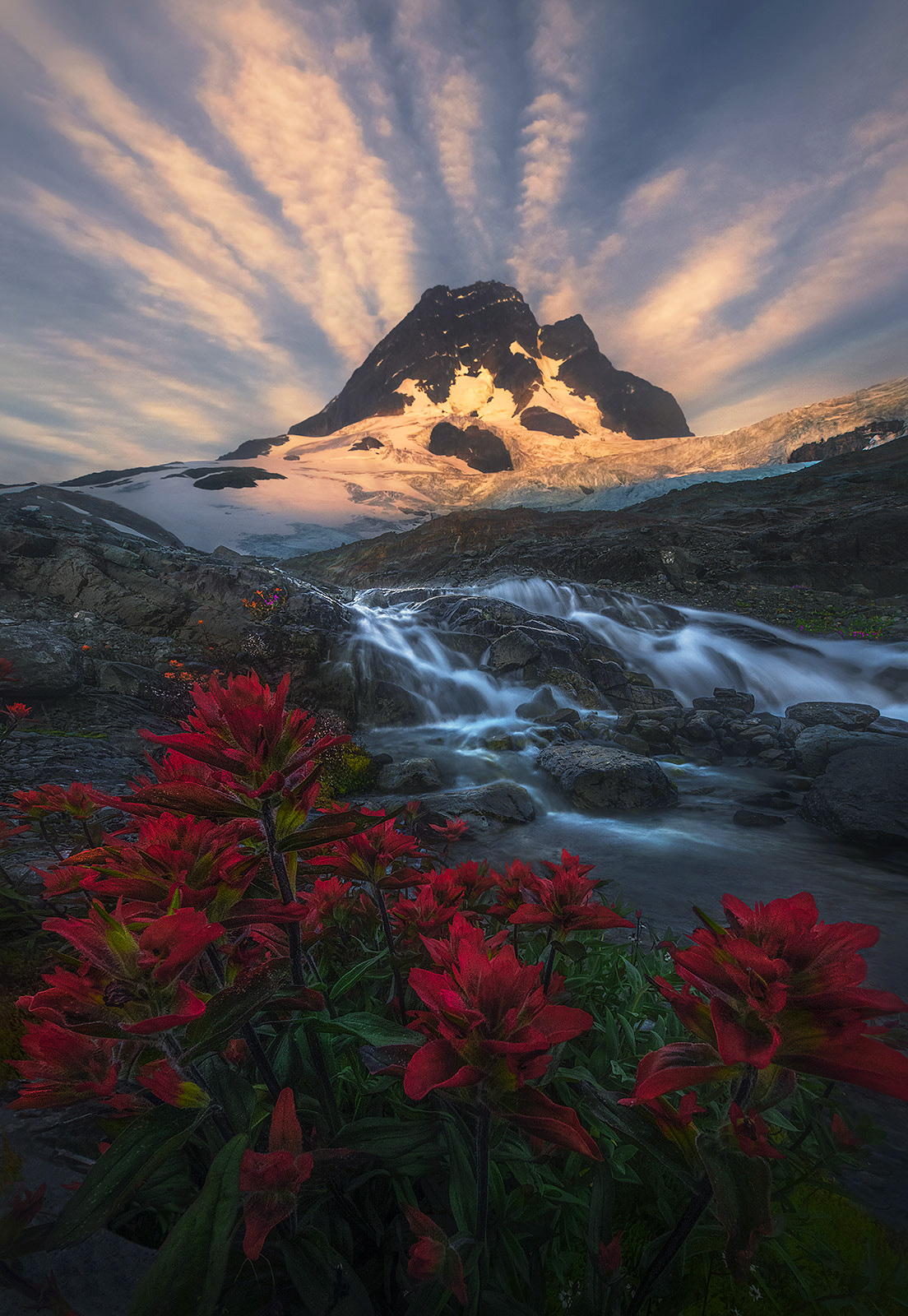 Summer flowers meet the glaciers and of course, waterfalls in between.&nbsp;&nbsp;Coast mountains, British Columbia.&nbsp;