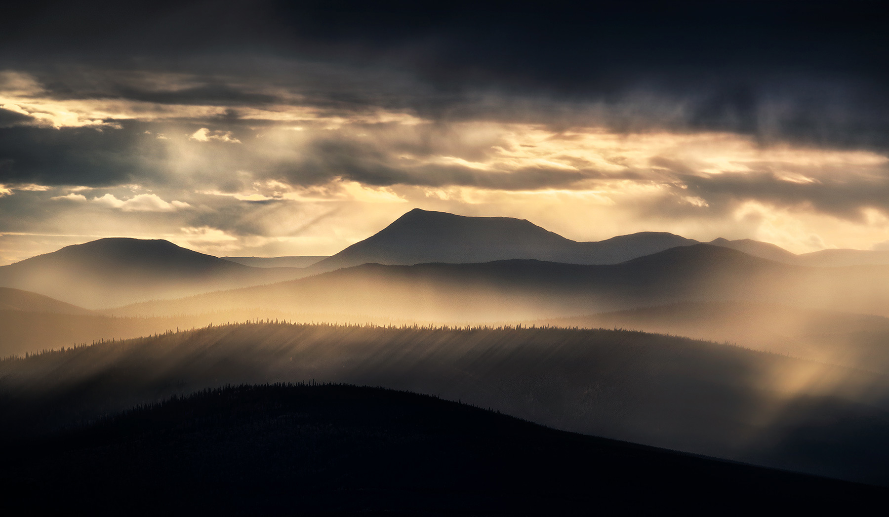 The light whispers to the rain, it&nbsp;steals a fleeting embrace.&nbsp;
