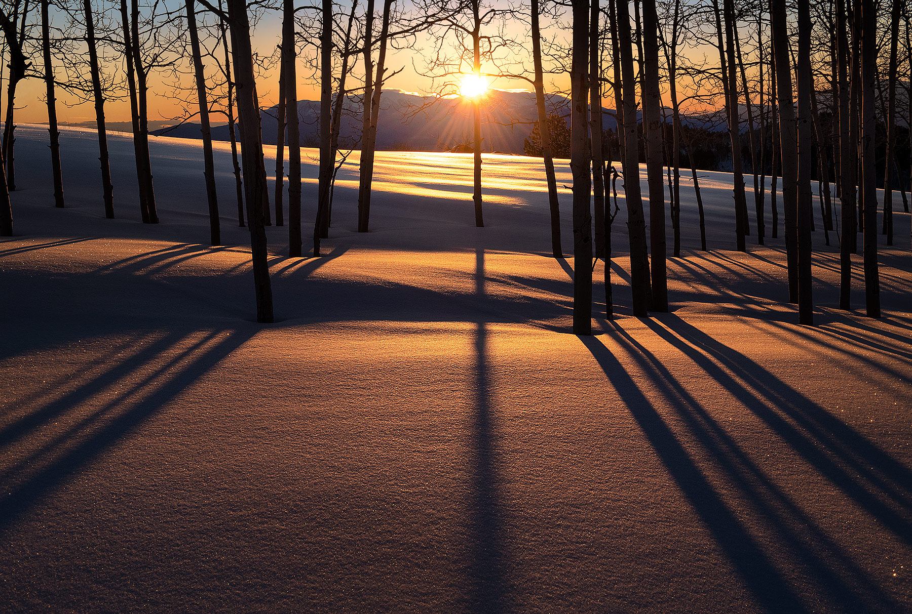 A window through the trees towards sunrise.