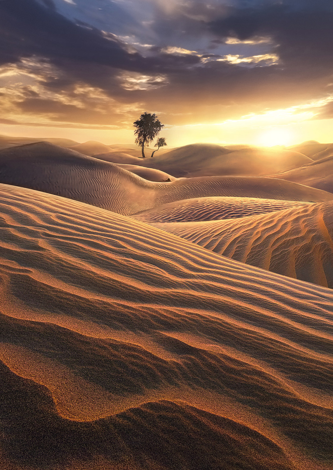 The most beautiful dunes in the world are in the UAE.  The reds mixed with gold, yellow and the colors of sunrise gives great...