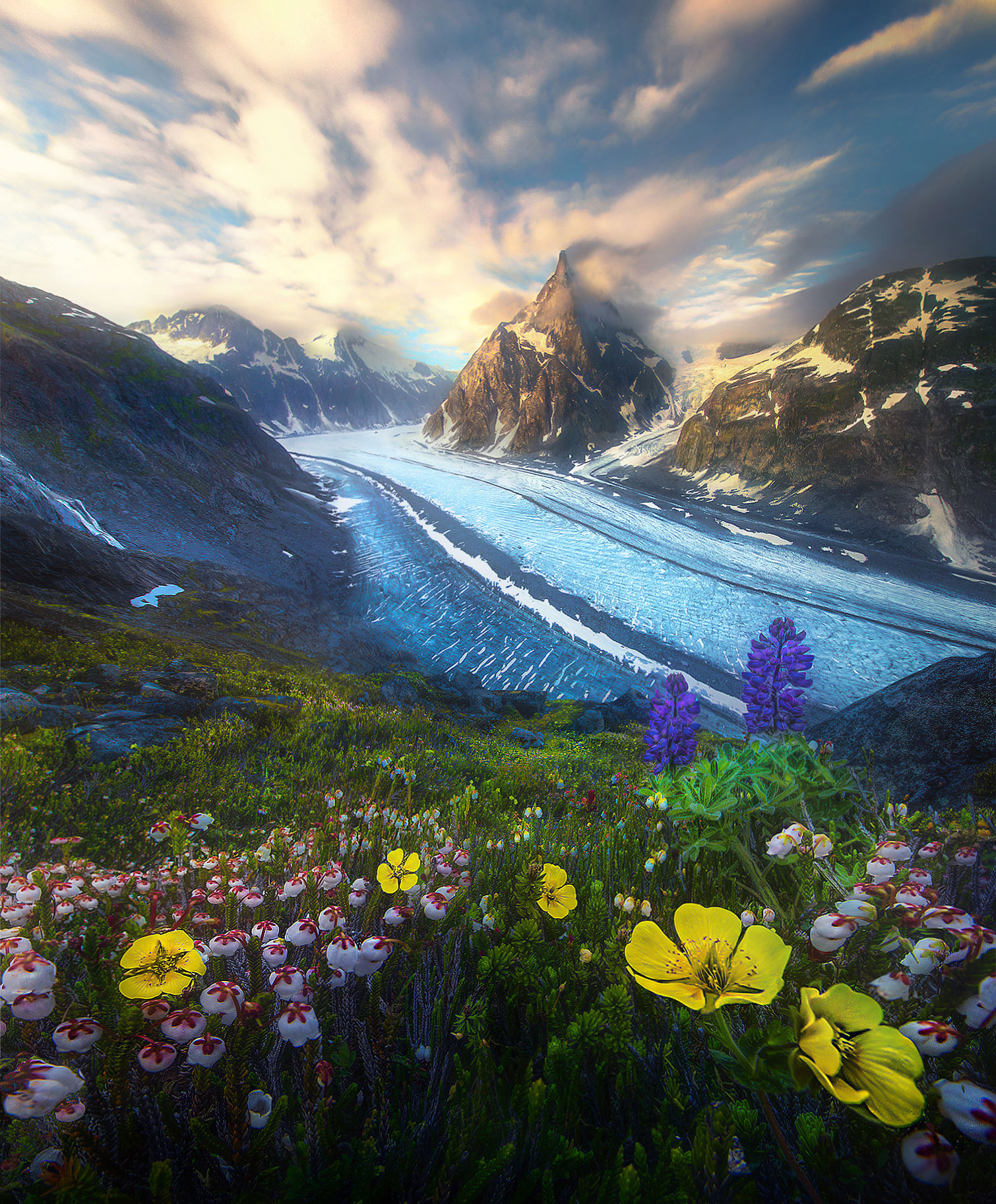 Glacier Garden One of the things that amazes me most about these remote mountains the boundary range in Alaska is how you can be on a pinprick...