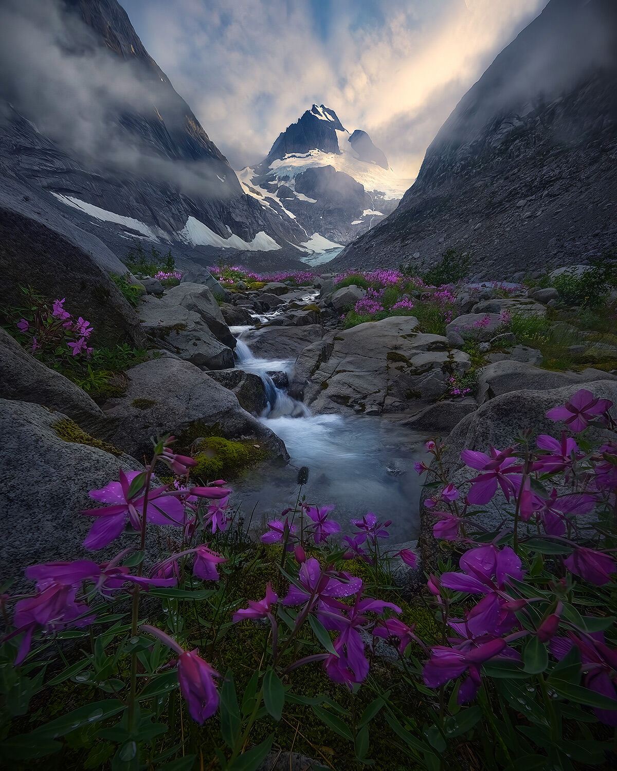 Alaska, glacier, mountains, steep, jagged, boundary range, summer, snow, wildflowers, meadow, stream