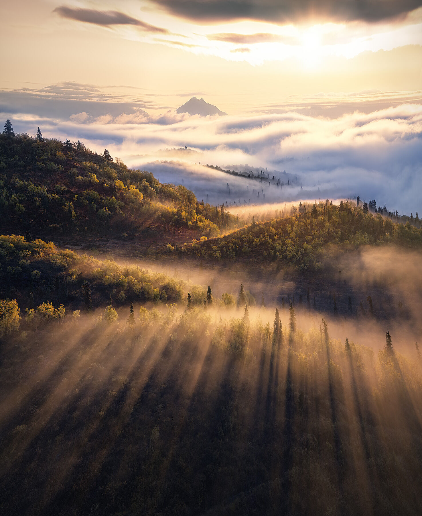 Alaska, fall, autumn, colors, tundra, aspen, red, mountains, peaks, chugach, Alaska range, fog, beams