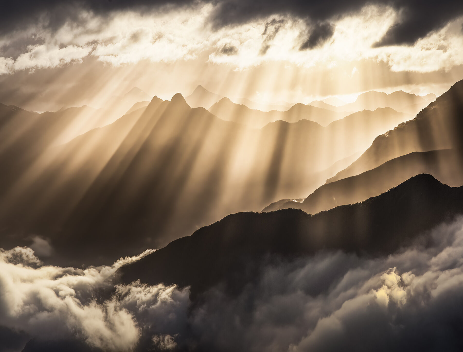 Where else?  Fiordland, of course.  Land of the beams!
