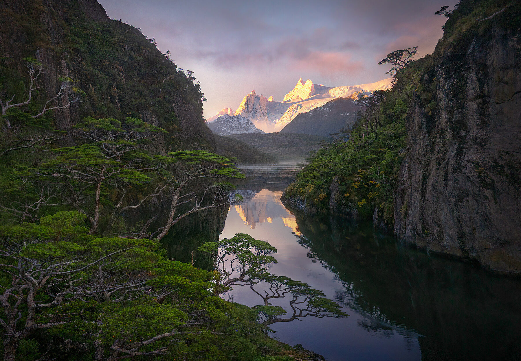 Coigue trees adorn the walls of this spectacularly isolated and amazing gorge in the Patagonia Fjords