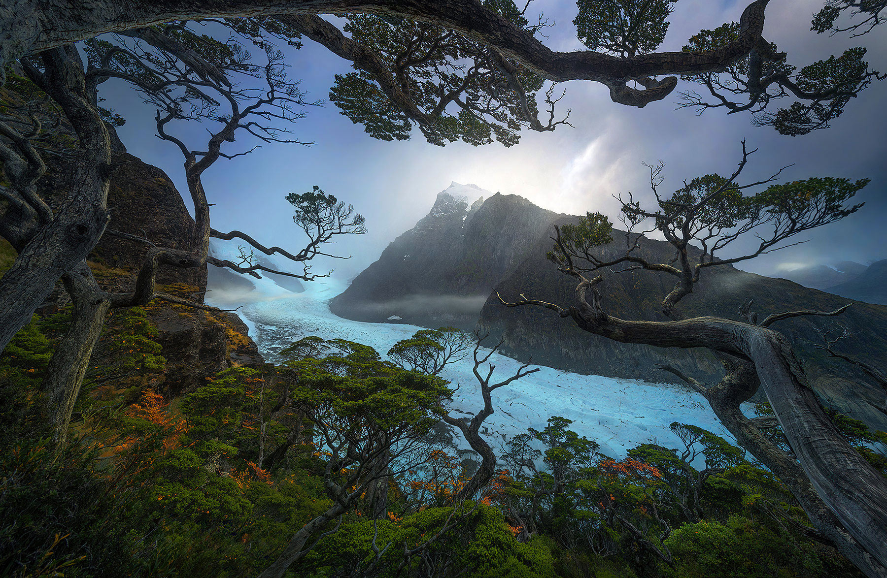 The incomparable forest of Patagonian Fjords reaches out towards the glaciers and high peaks beyond