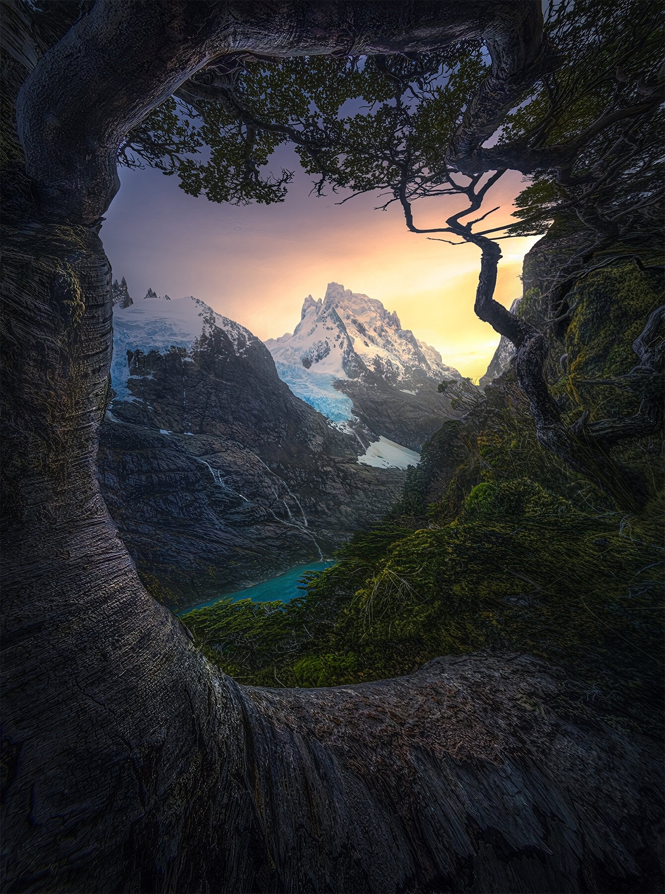A frame using the amazing Coigue trees and the great peaks of the Patagonia Fjords