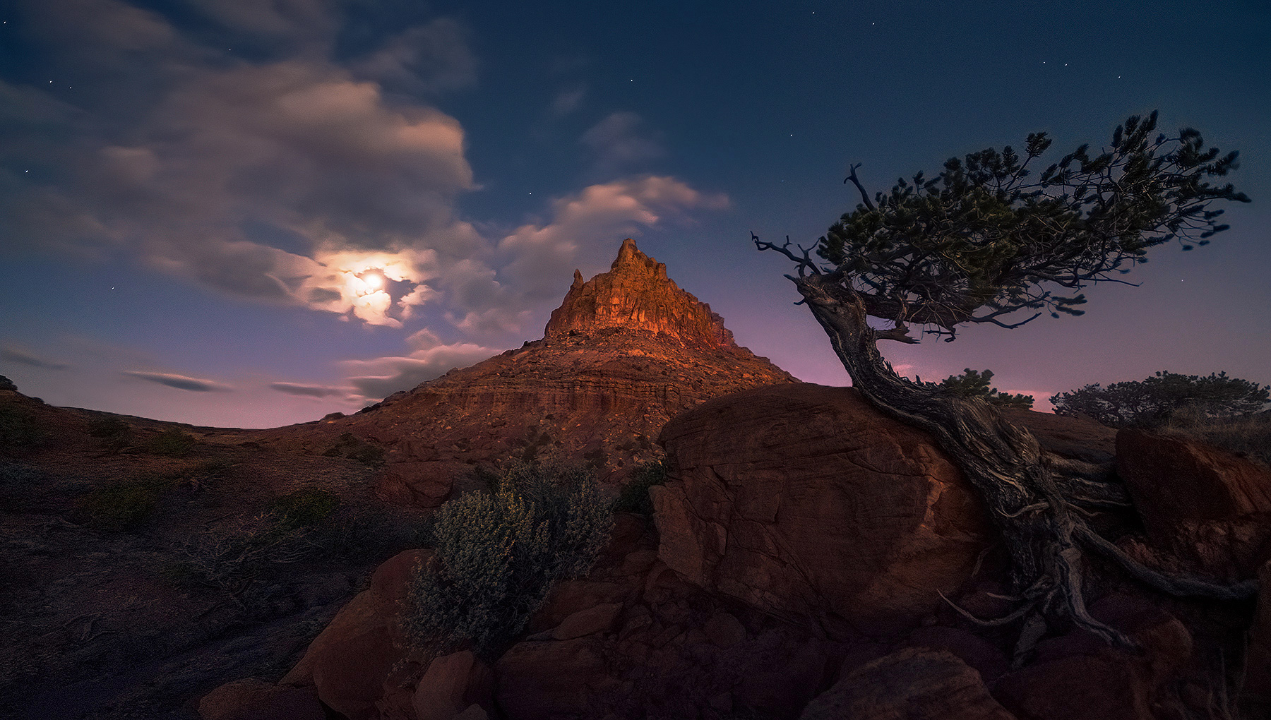 A particularly charming tree I found in Utah while exploring some remote backcountry roads. &nbsp;Came back one morning with...