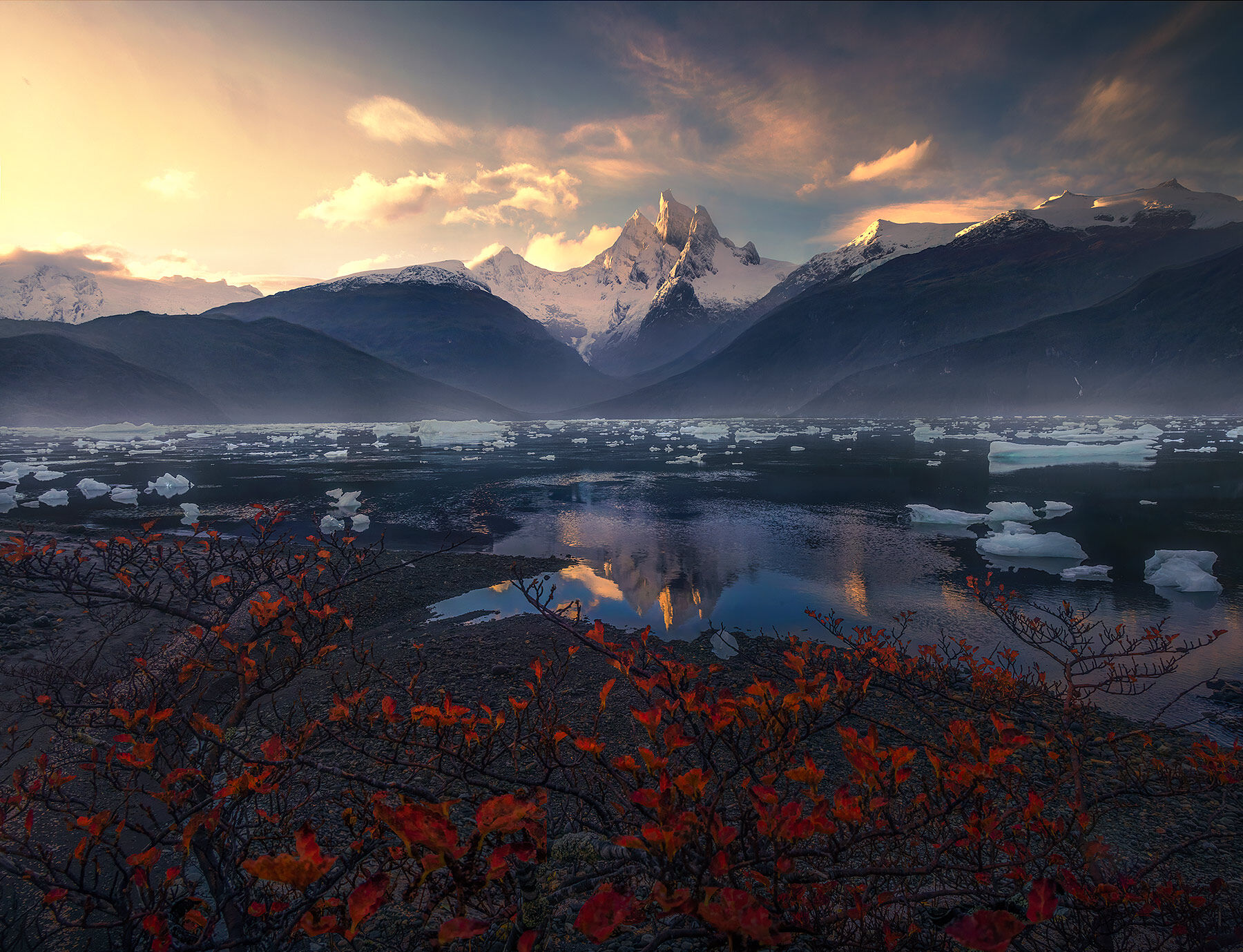 Red fall colors contrast with the icy world deep in the Patagonian Fjords at sunrise