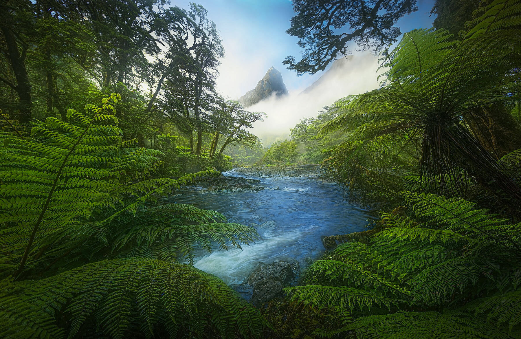 The magnificent environment of some of the most remote fiordlands in New Zealand, photographed one misty morning.