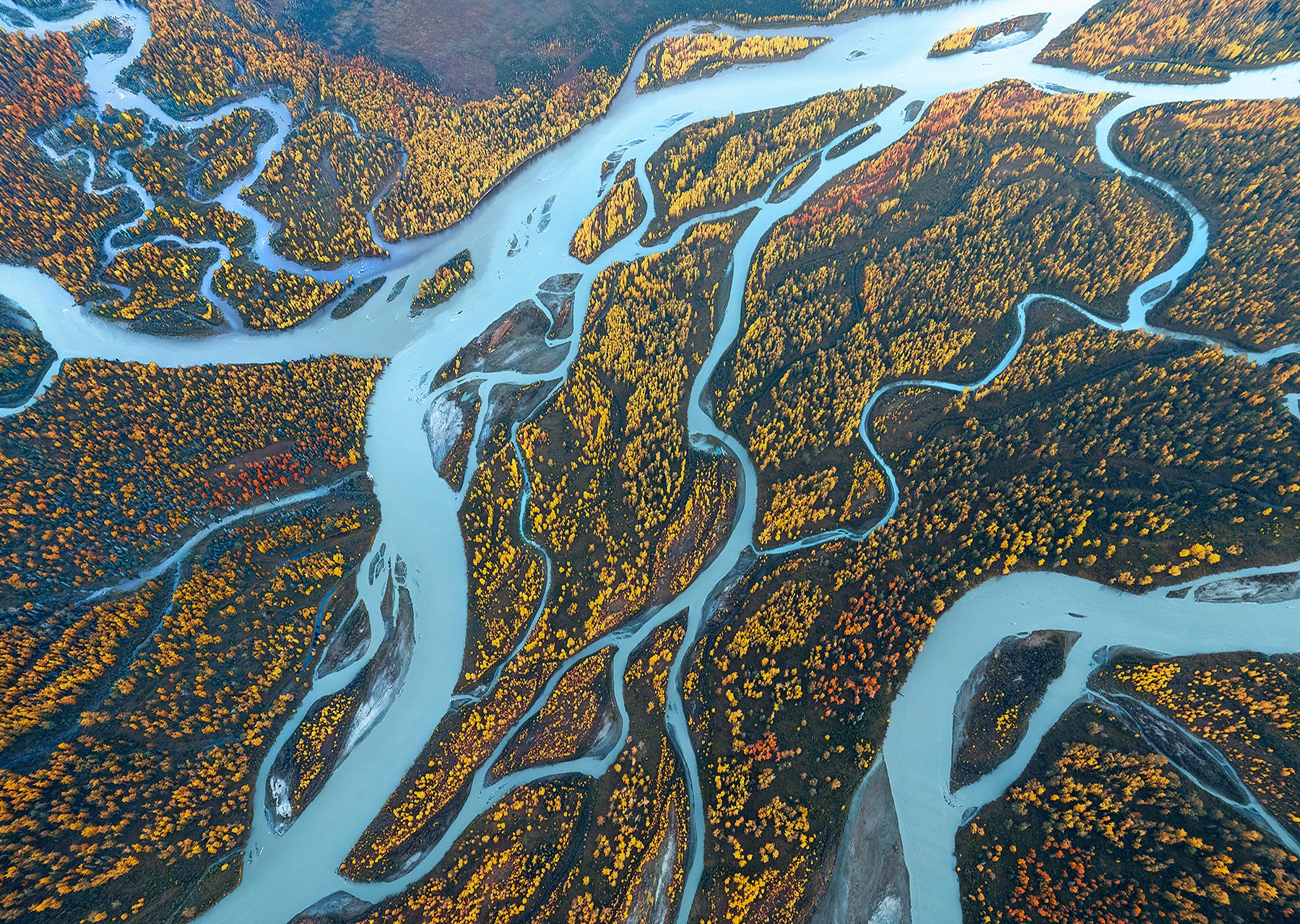 Glacial blue rivers winding through the fall colors below, Alaska